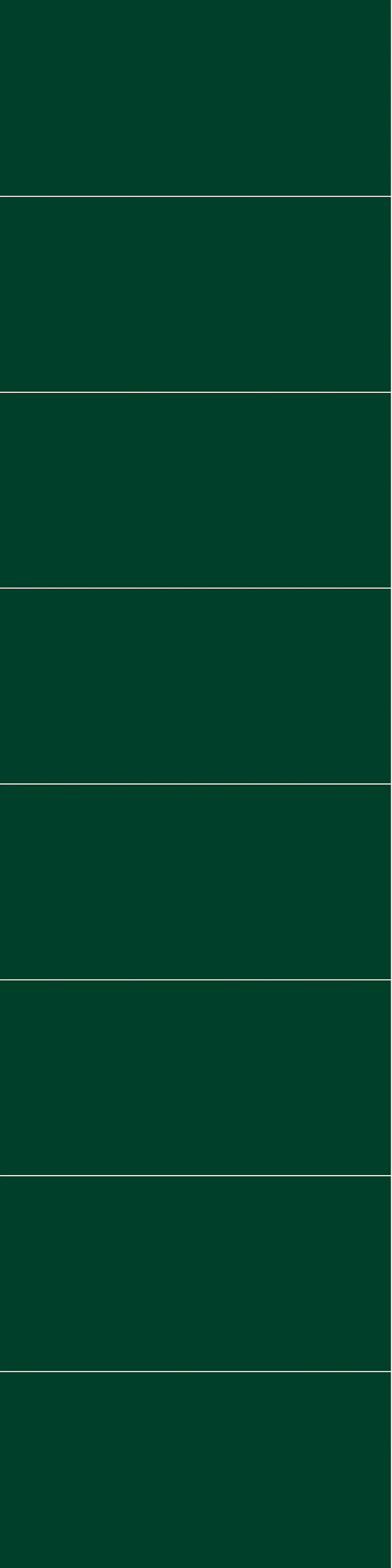 Fibo baderomsplate Bottle Green 60x30 cm 10x620x2400mm