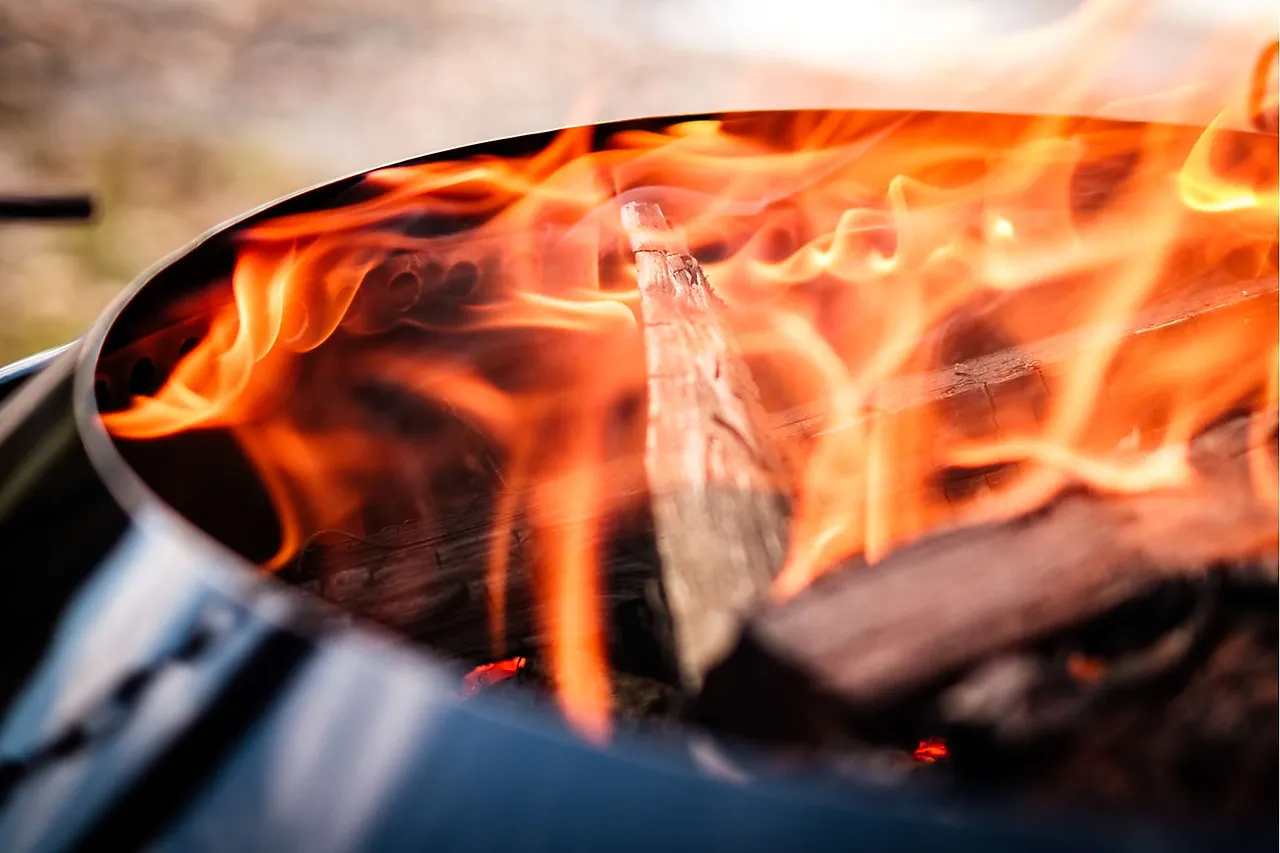 Brennerinnsats 60 rustfritt stål null - null - 2 - Miniatyr