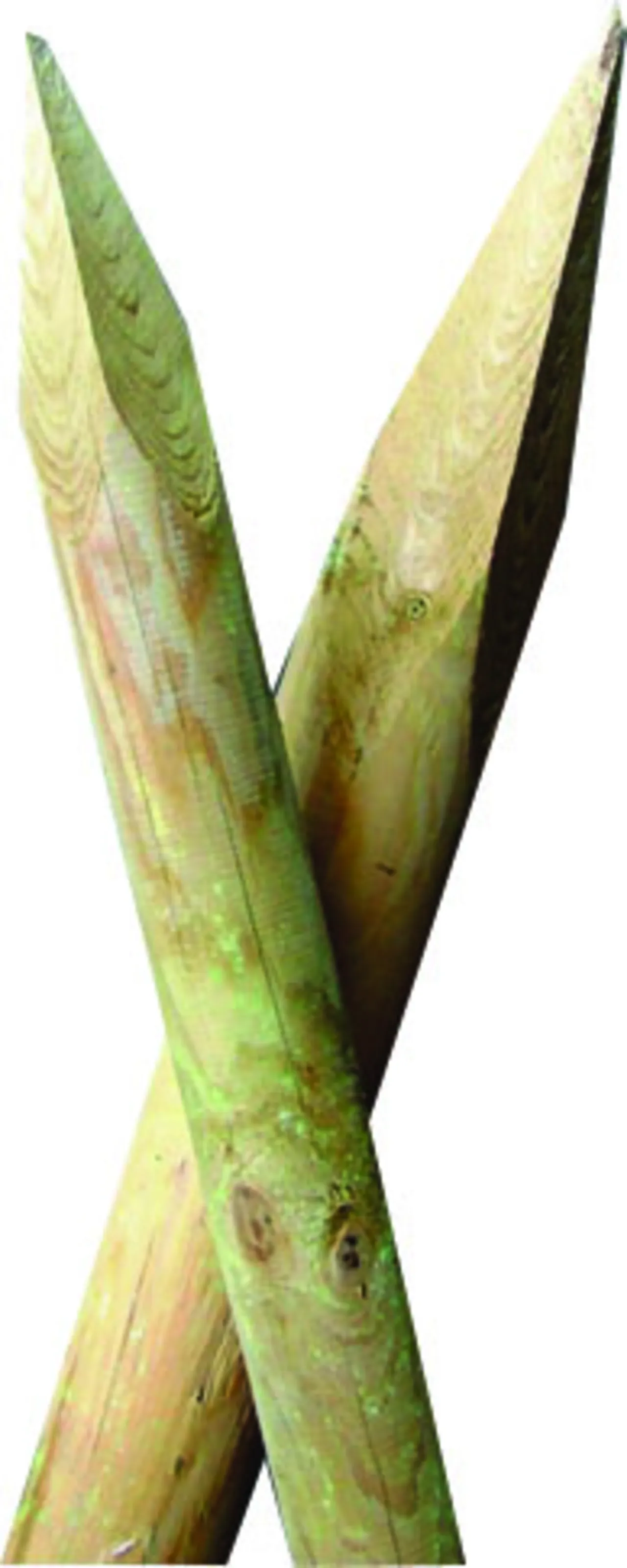 Gjerdestolper 6x180 cm Gjerdestolper 6x180 cm