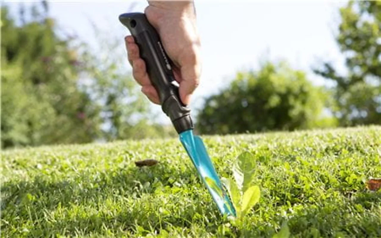 Løvetannstikker Løvetannstikker