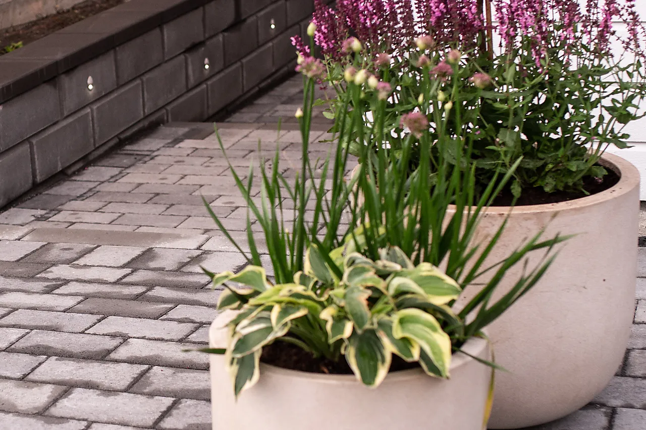 Belegningsstein torg gråmix XL null - null - 2 - Miniatyr