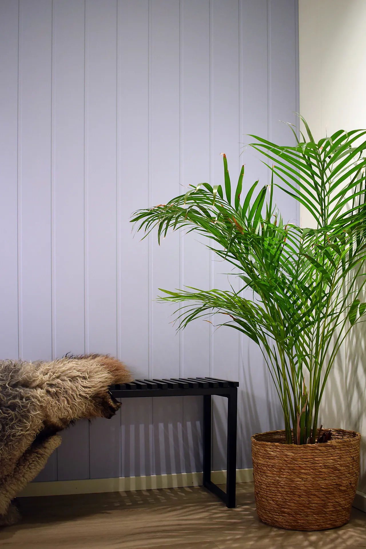 Veggplate MDF skygge Alladin 11x620x2390 mm null - null - 3 - Miniatyr