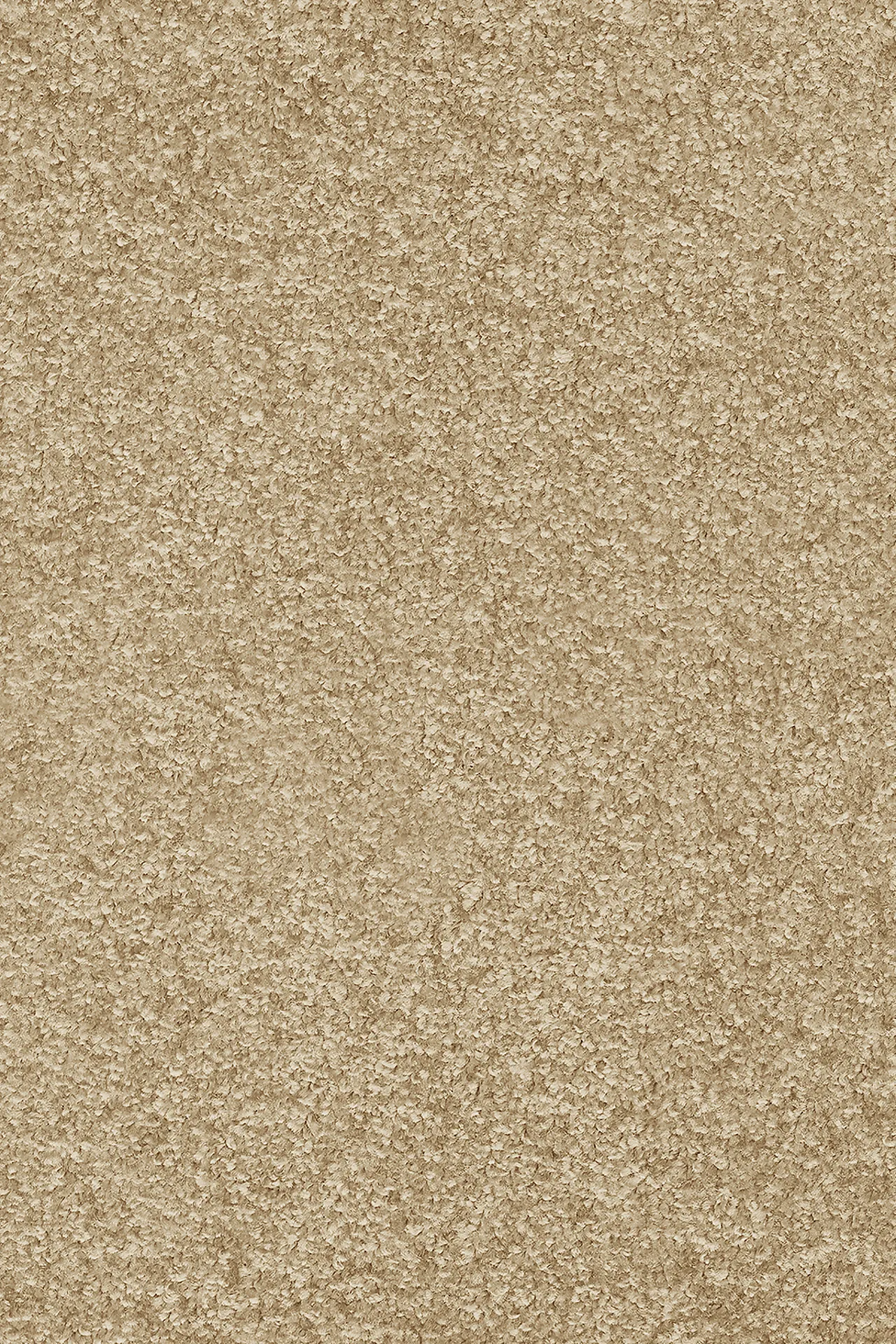 Invictus Crixus teppeflis Blanced Almond null - null - 2 - Miniatyr