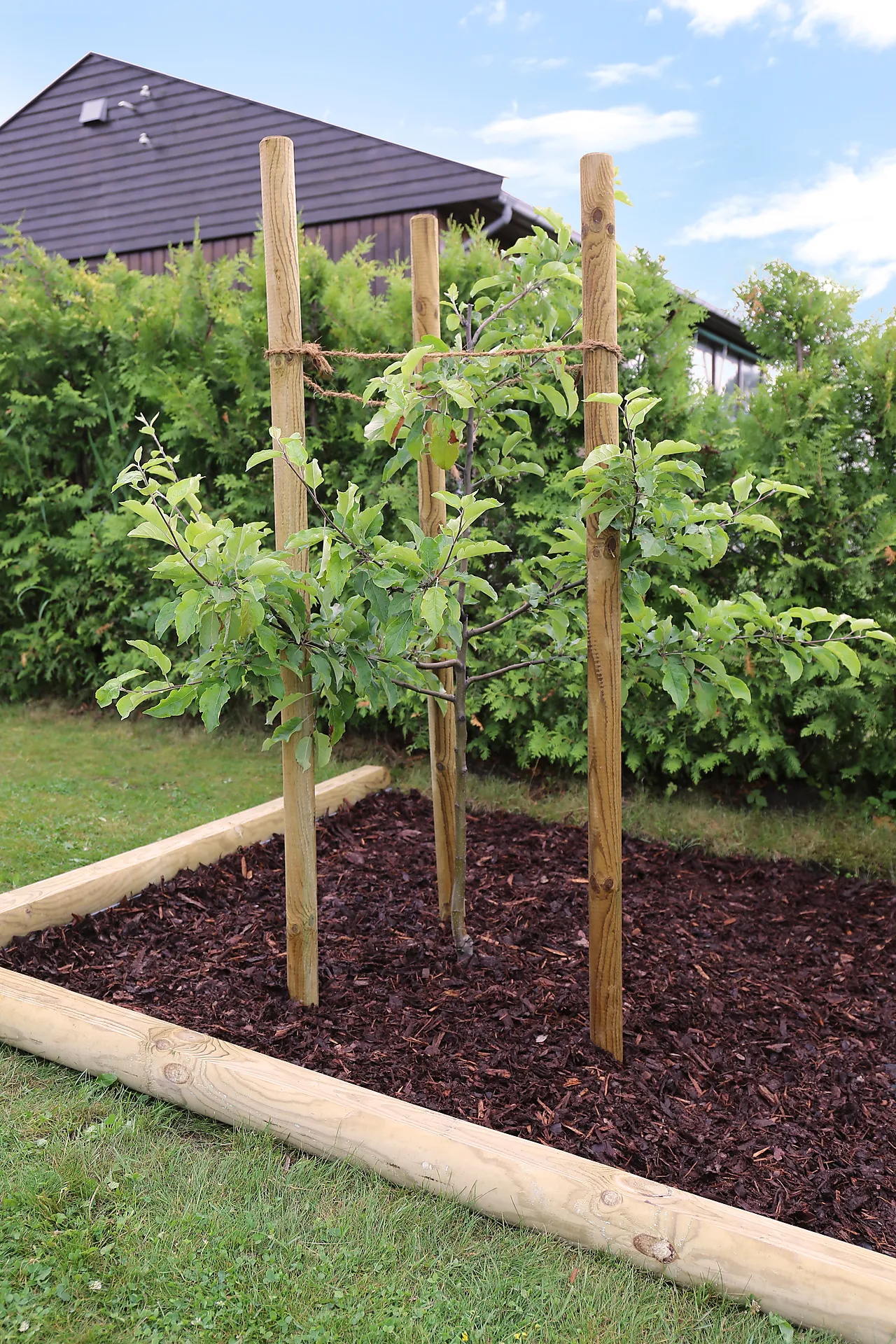 Gjerdestolper 6x180 cm null - null - 2 - Miniatyr