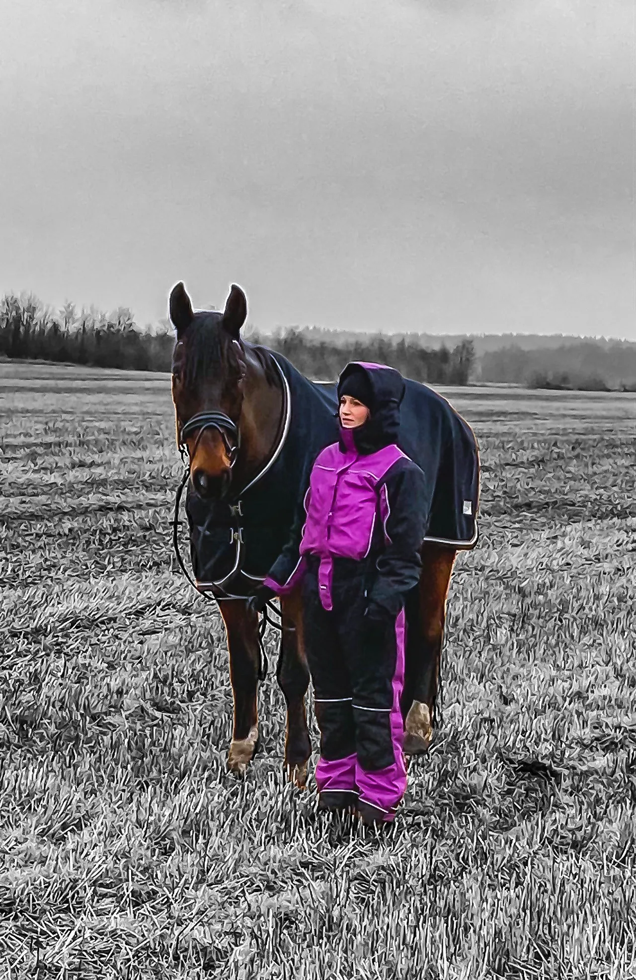 Vinterdress dame sort/lilla str XXL null - null - 2 - Miniatyr