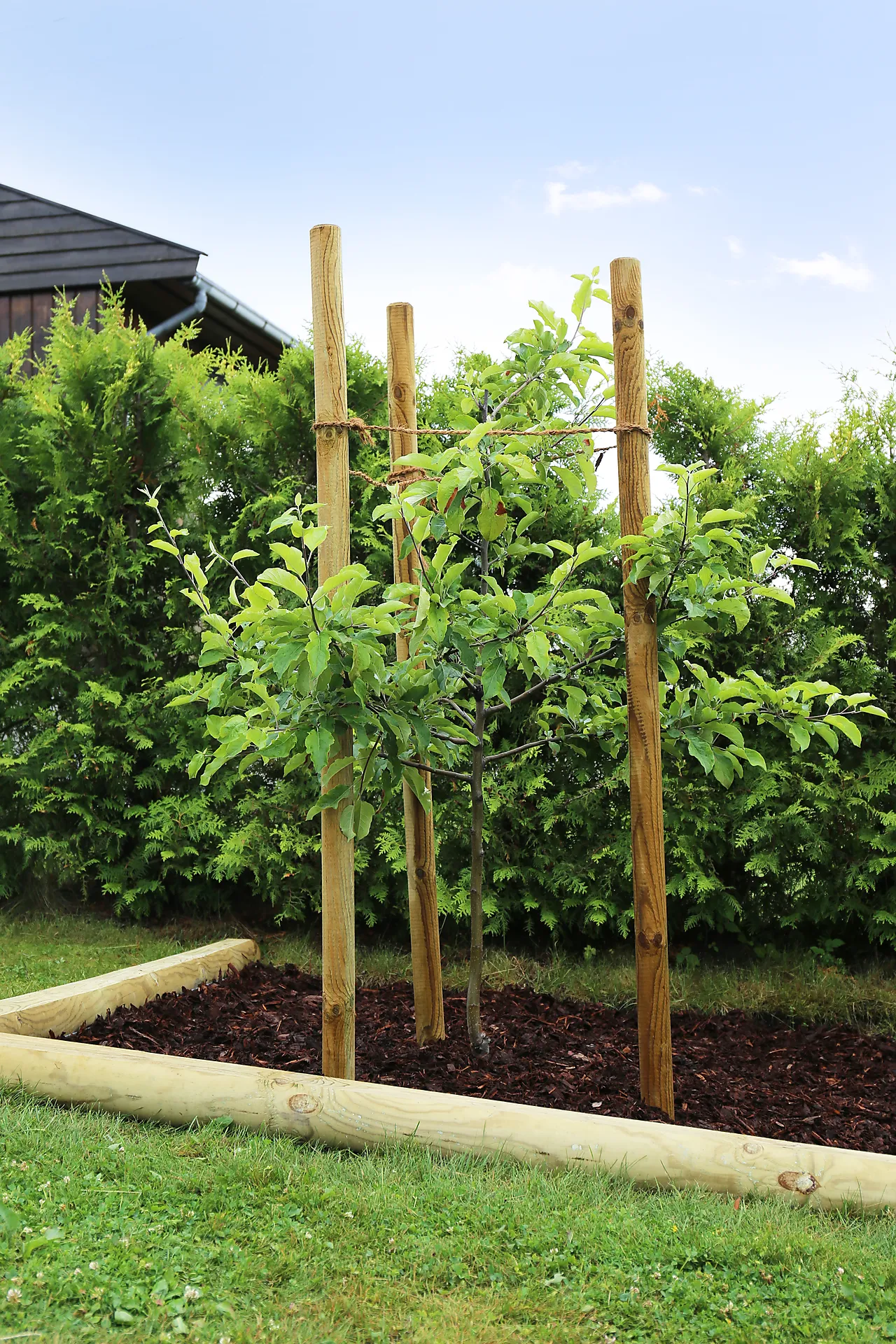 Gjerdestolper 8x250 cm null - null - 3 - Miniatyr