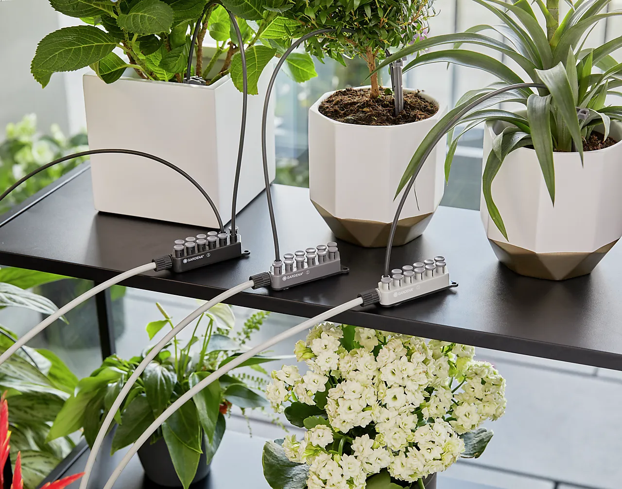 Ferievanningssett med vannbeholder null - null - 3 - Miniatyr