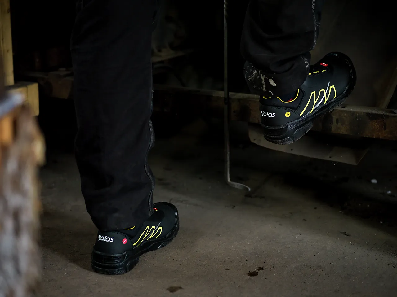 Vernesko 1558 46 jalas null - null - 3 - Miniatyr