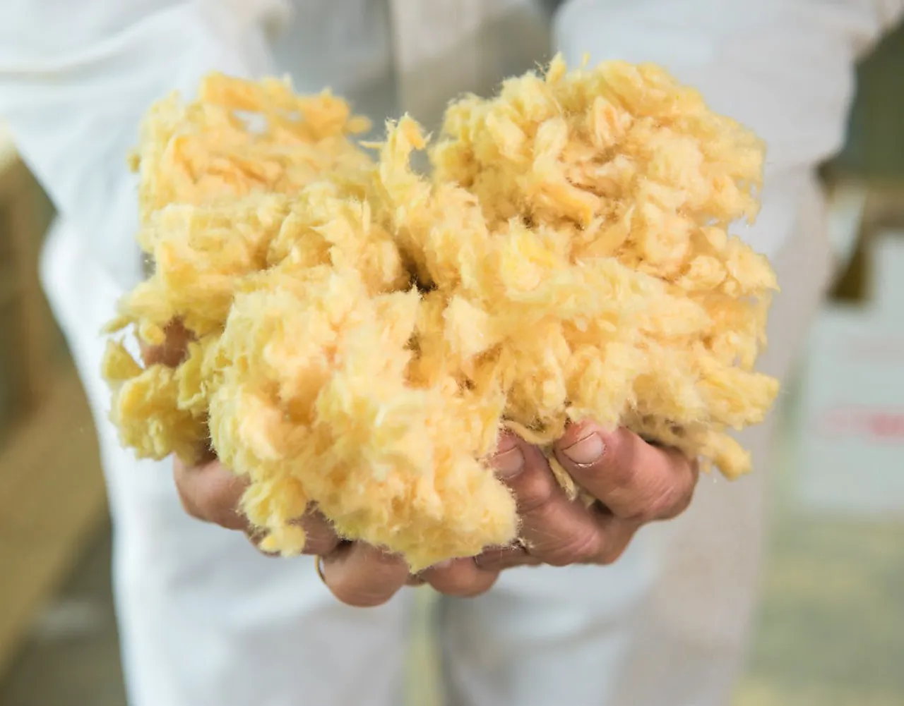 Glava blåseull Glava blåseull