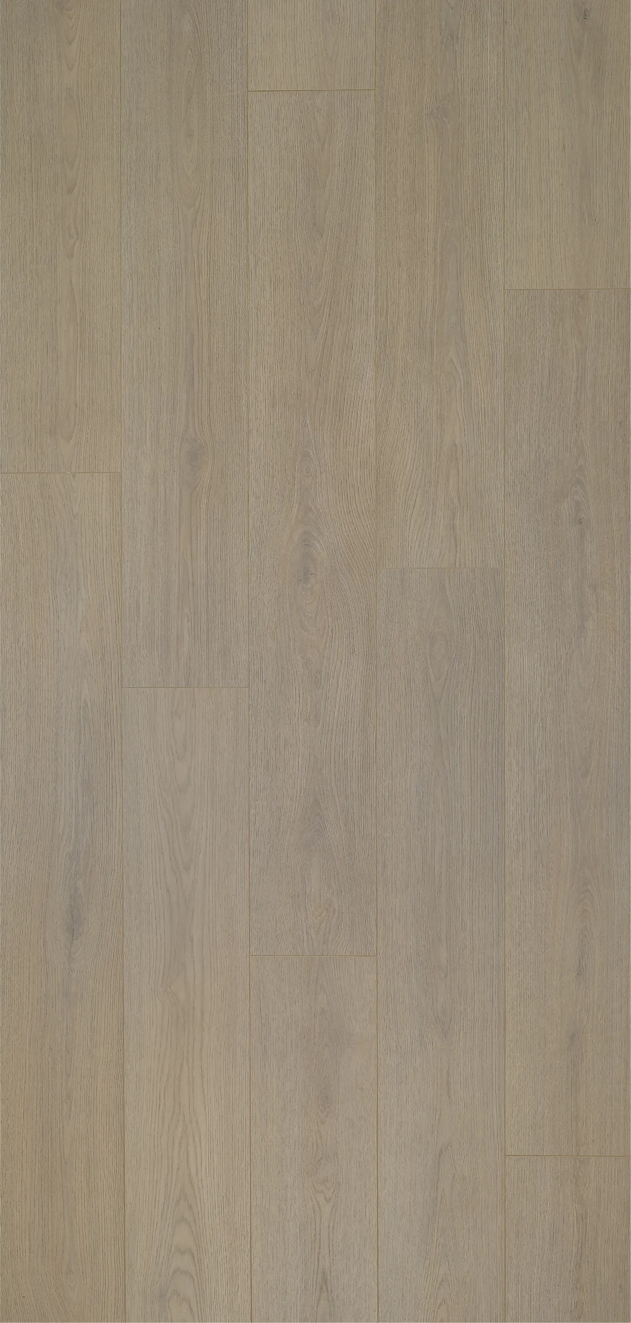 BerryAlloc Harmoni XL Mocca laminatgulv null - null - 2 - Miniatyr