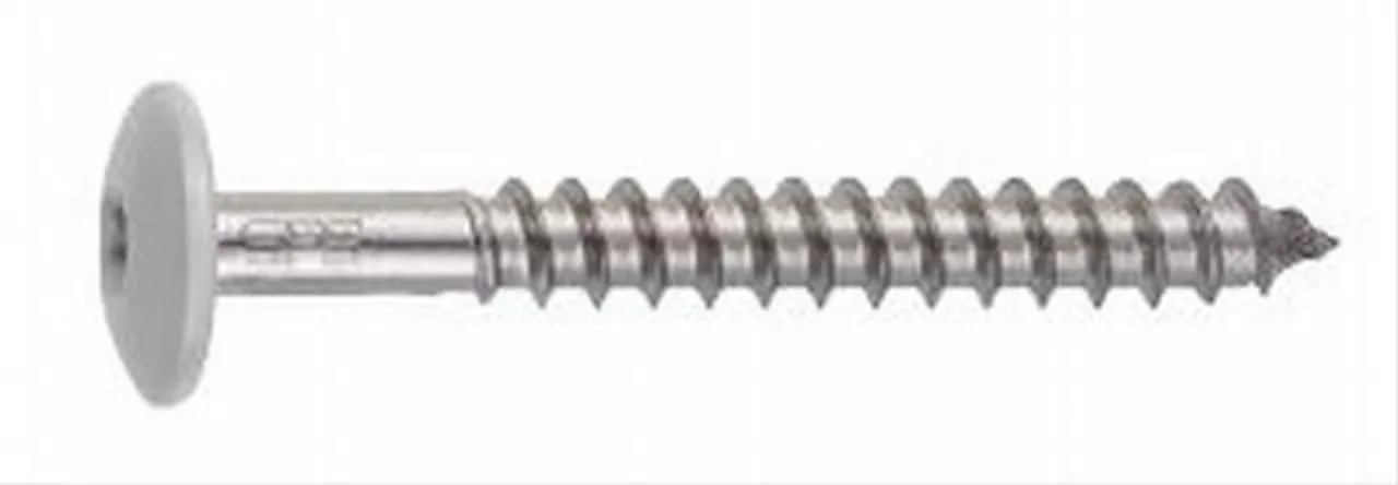 Skrue rfr tw-s-d12/t20-4,8x44 blank Skrue rfr tw-s-d12/t20-4,8x44 blank