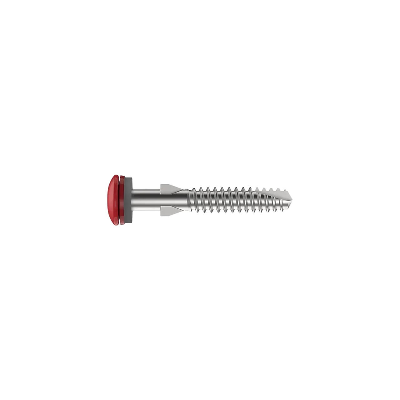 Skrue med vinger rustfri stål SCFW-S-D10-A12-5X42