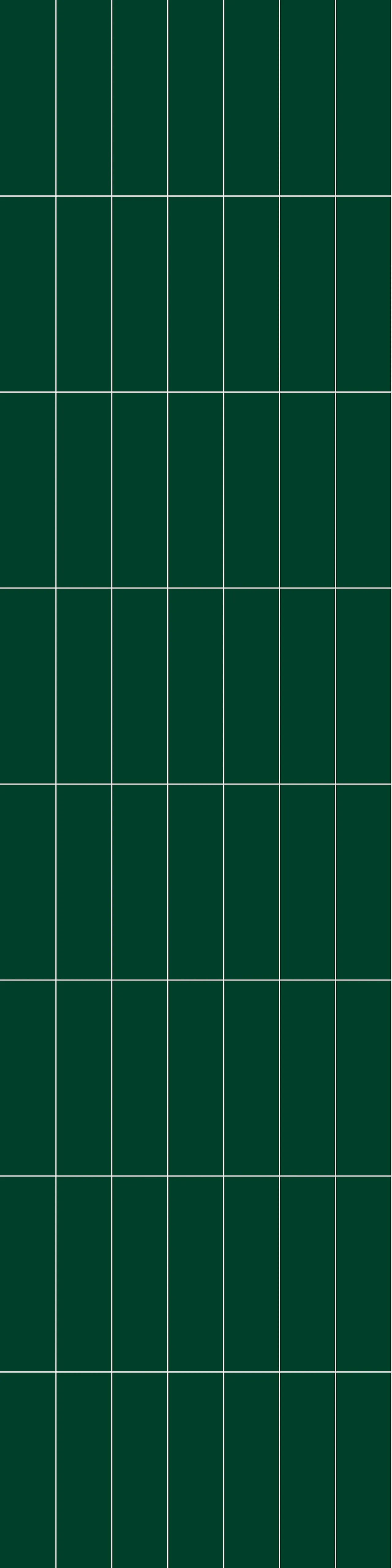 Fibo baderomsplate Bottle Green Høyglans 10x620x2400 mm