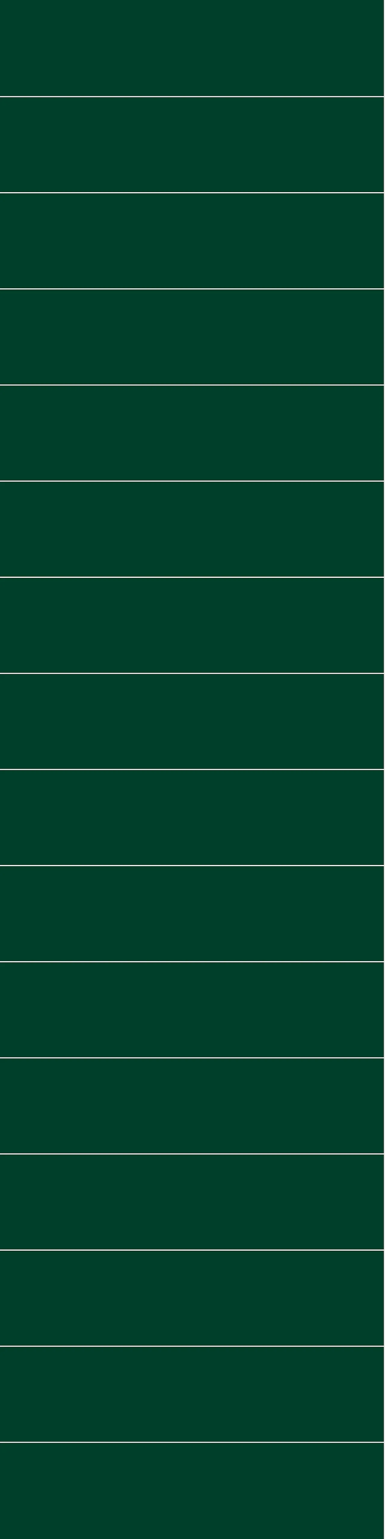 Fibo Baderomsplate 5231M6015 Bottle Green 60x15cm 10x620x240 Fibo Baderomsplate 5231M6015 Bottle Green 60x15cm 10x620x240