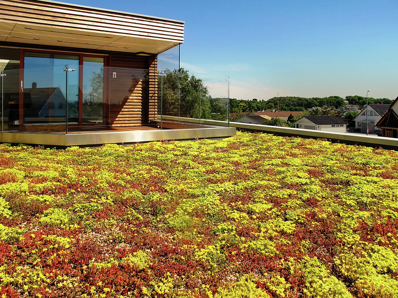 Sedumkassetter 58x38x6 cm null - null - 3 - Miniatyr