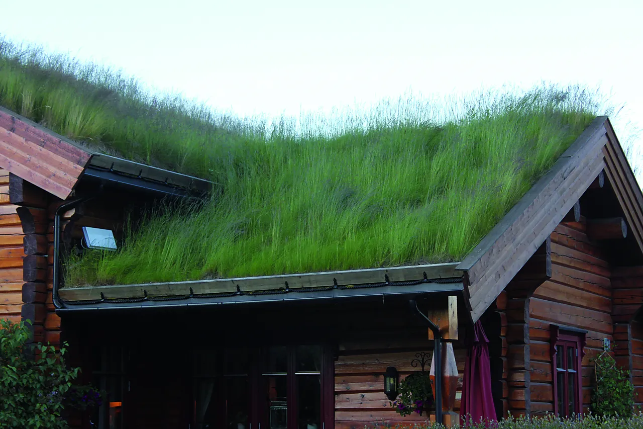 TAKTORV SEKK MED FRØ NITTEDAL TORVINDUSTRI null - null - 2 - Miniatyr