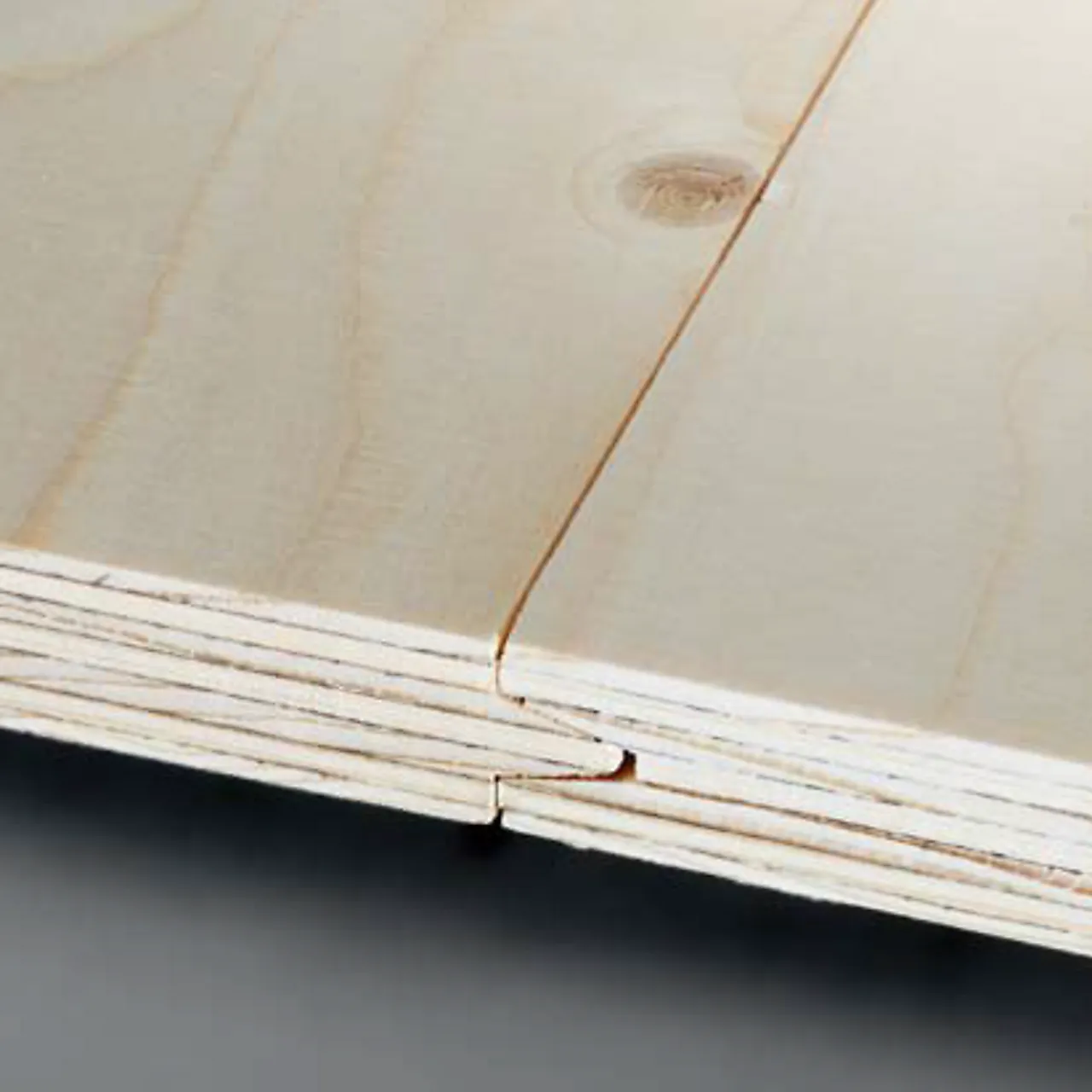 Kryssfiner tak TG2 1220x2400 mm 12 mm Kryssfiner tak TG2 1220x2400 mm 12 mm