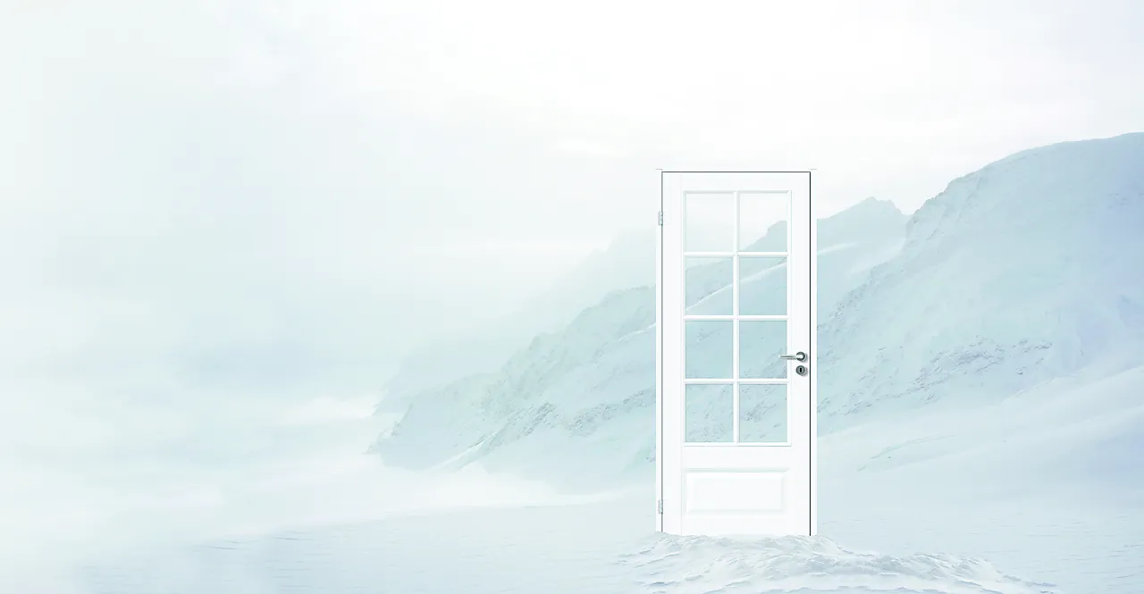 Dørbl id ida fw 8x20 hv ncs s 0502-y null - null - 2 - Miniatyr