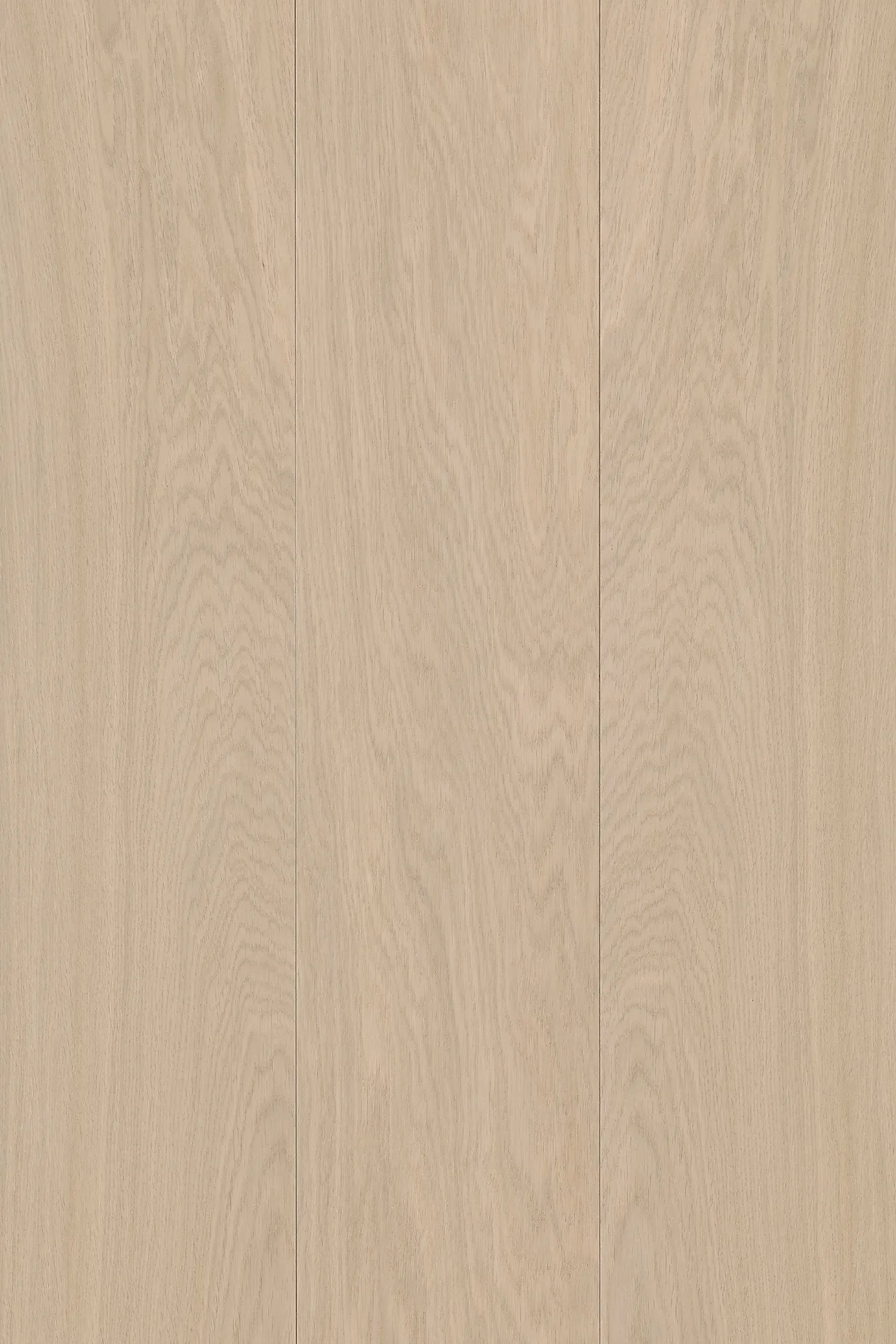 Tregulv eik sigrid krem mattlakk