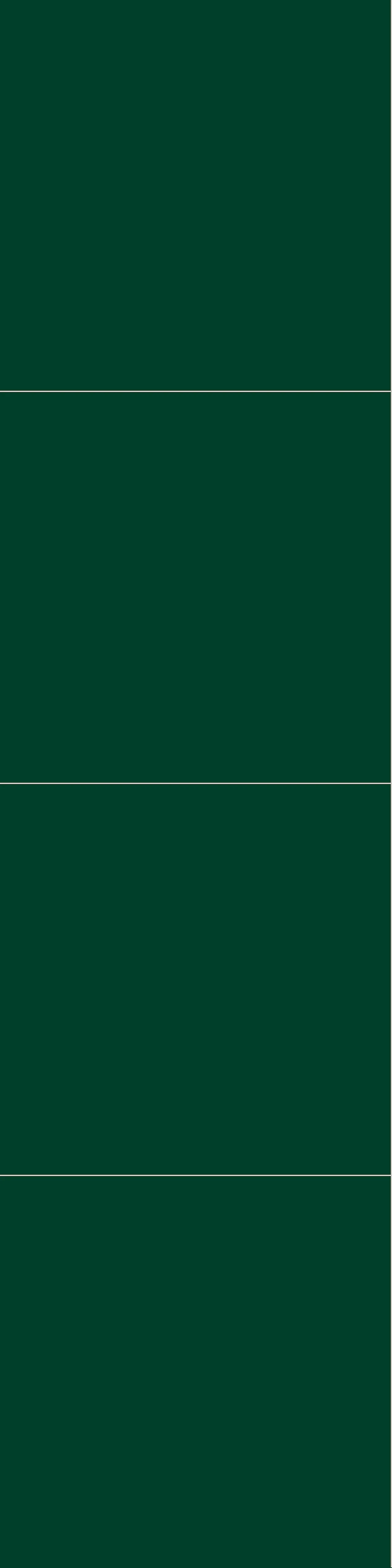 Fibo Baderomsplate 5231M6060 Bottle Green 10x620x2400mm Fibo Baderomsplate 5231M6060 Bottle Green 10x620x2400mm