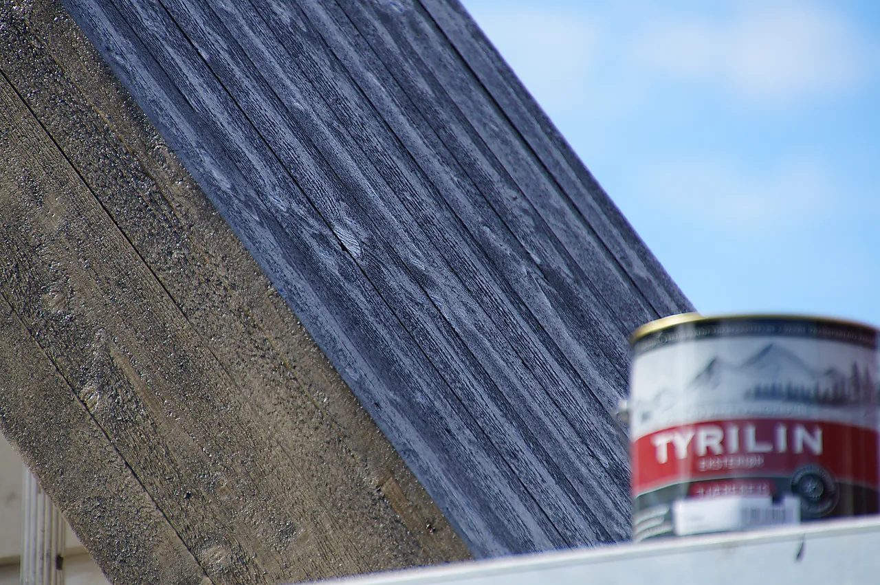 Tjærebeis 16 mørk 5 liter null - null - 2 - Miniatyr