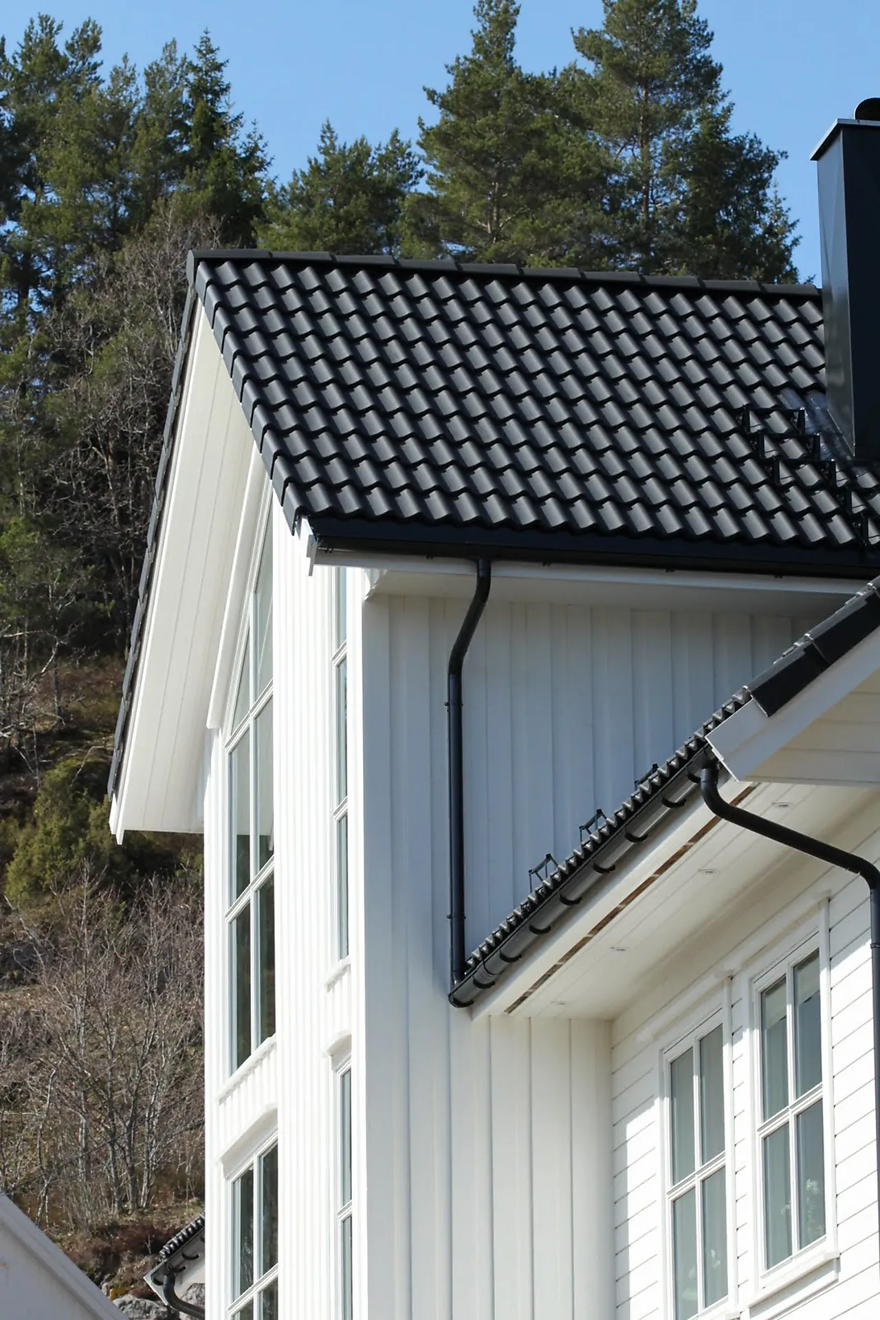 Takstein dobbel edel sort