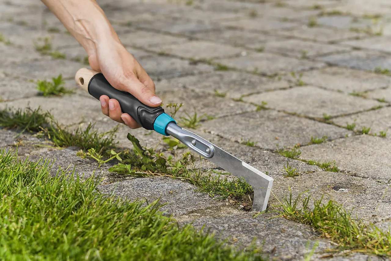 Fugekrafse bærekraftig null - null - 2 - Miniatyr