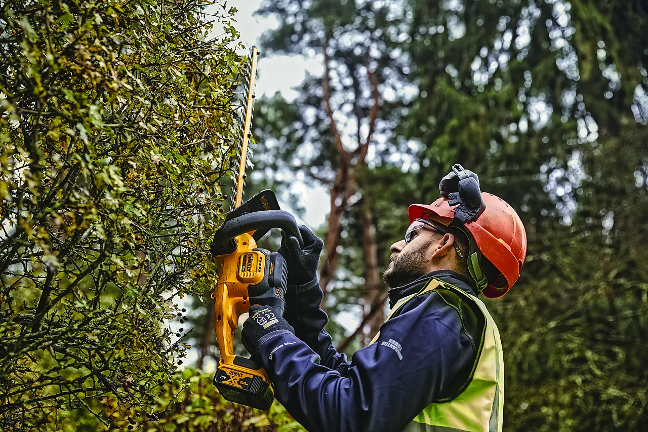 Hekksaks 18V XR DCMHT563N-XJ 25 mm