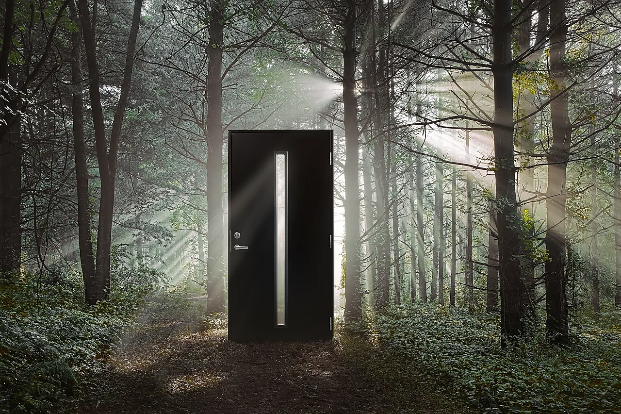 Ytterdør Hovdeby med frostet glass svart høyre 90x210 cm