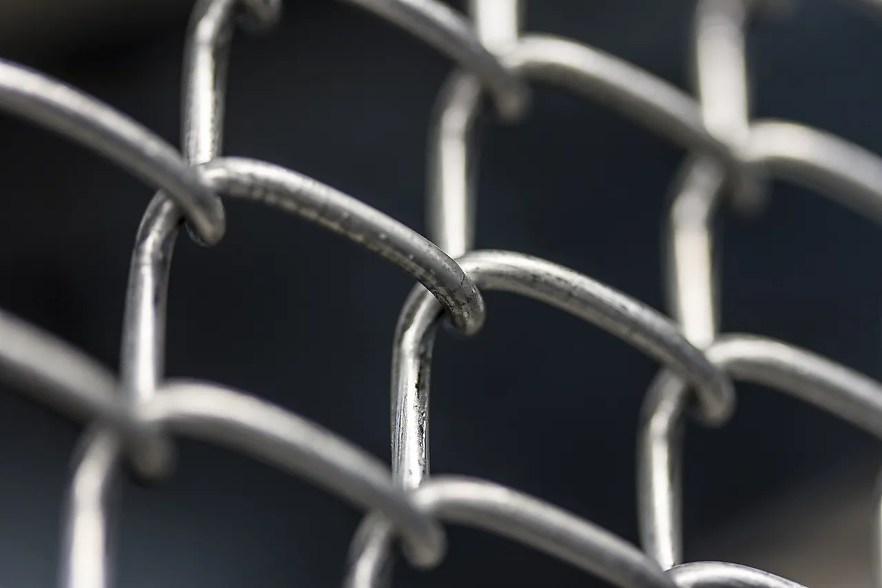 Flettverk galvanisert 0,8x25 m Flettverk galvanisert 0,8x25 m