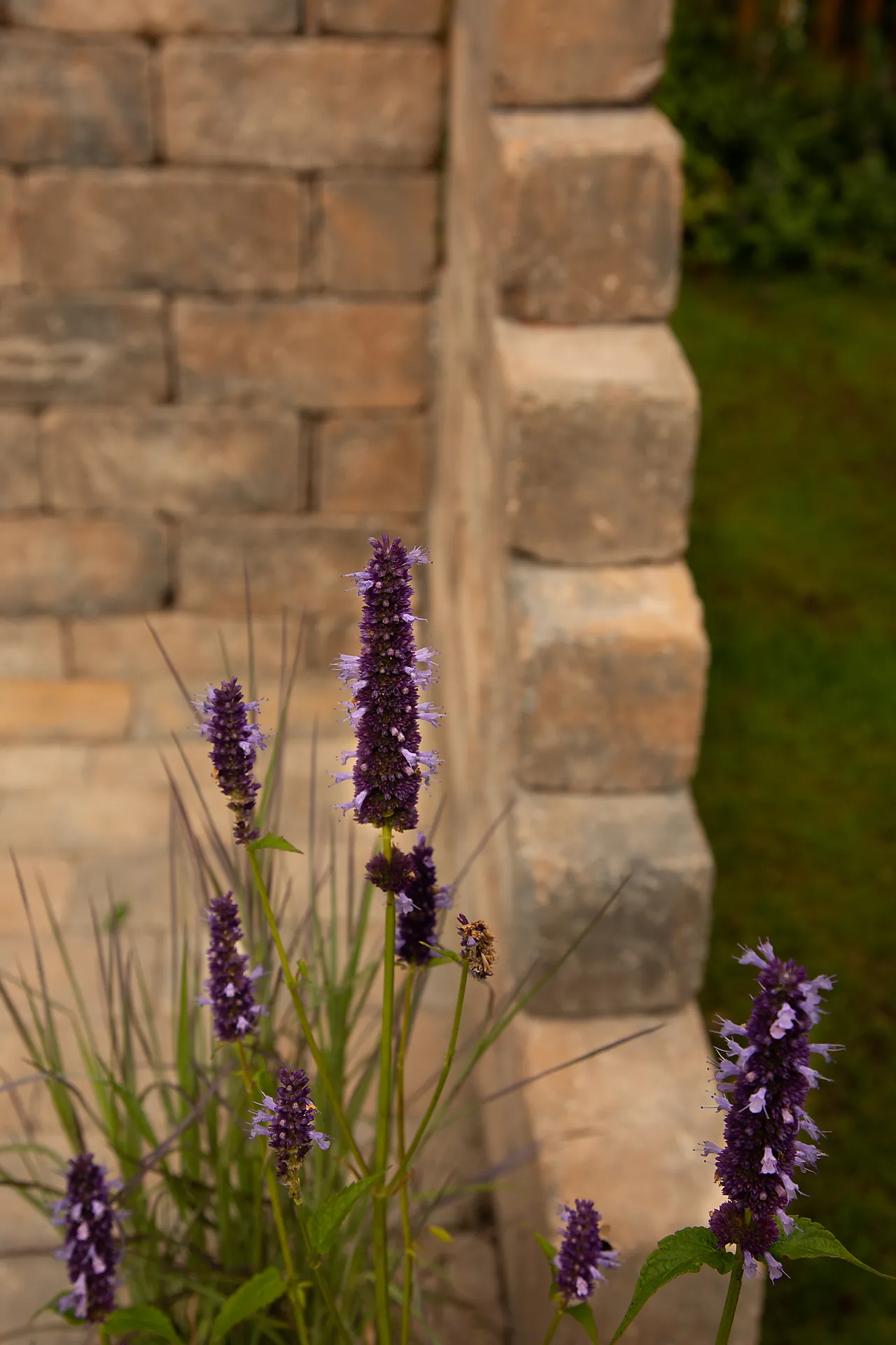 Kantstein herre brun 30x13,5x13,5 cm null - null - 2 - Miniatyr