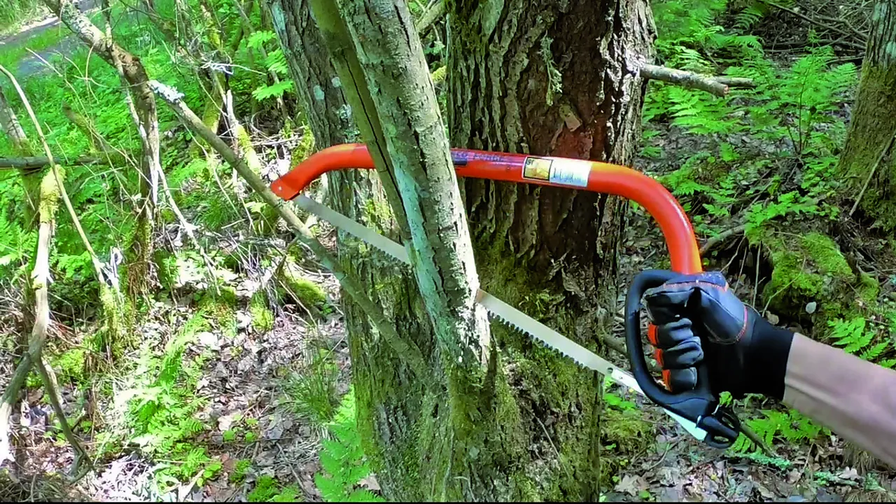 VEDSAGBLAD 23 30" RÅTT 23-30 null - null - 2 - Miniatyr