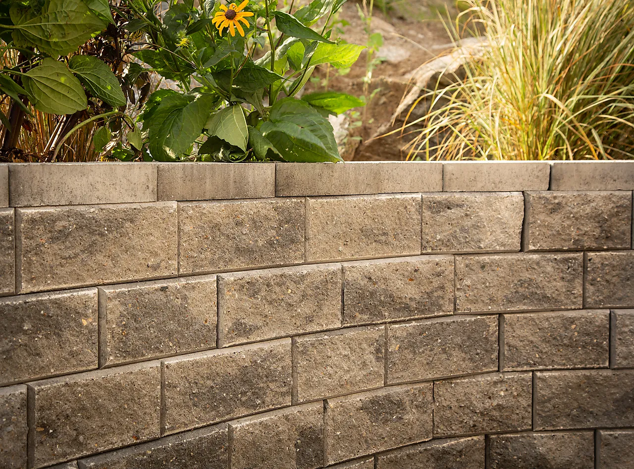 Asak hagemur endeblokk kort koksmix 2417213x200x125 null - null - 2 - Miniatyr