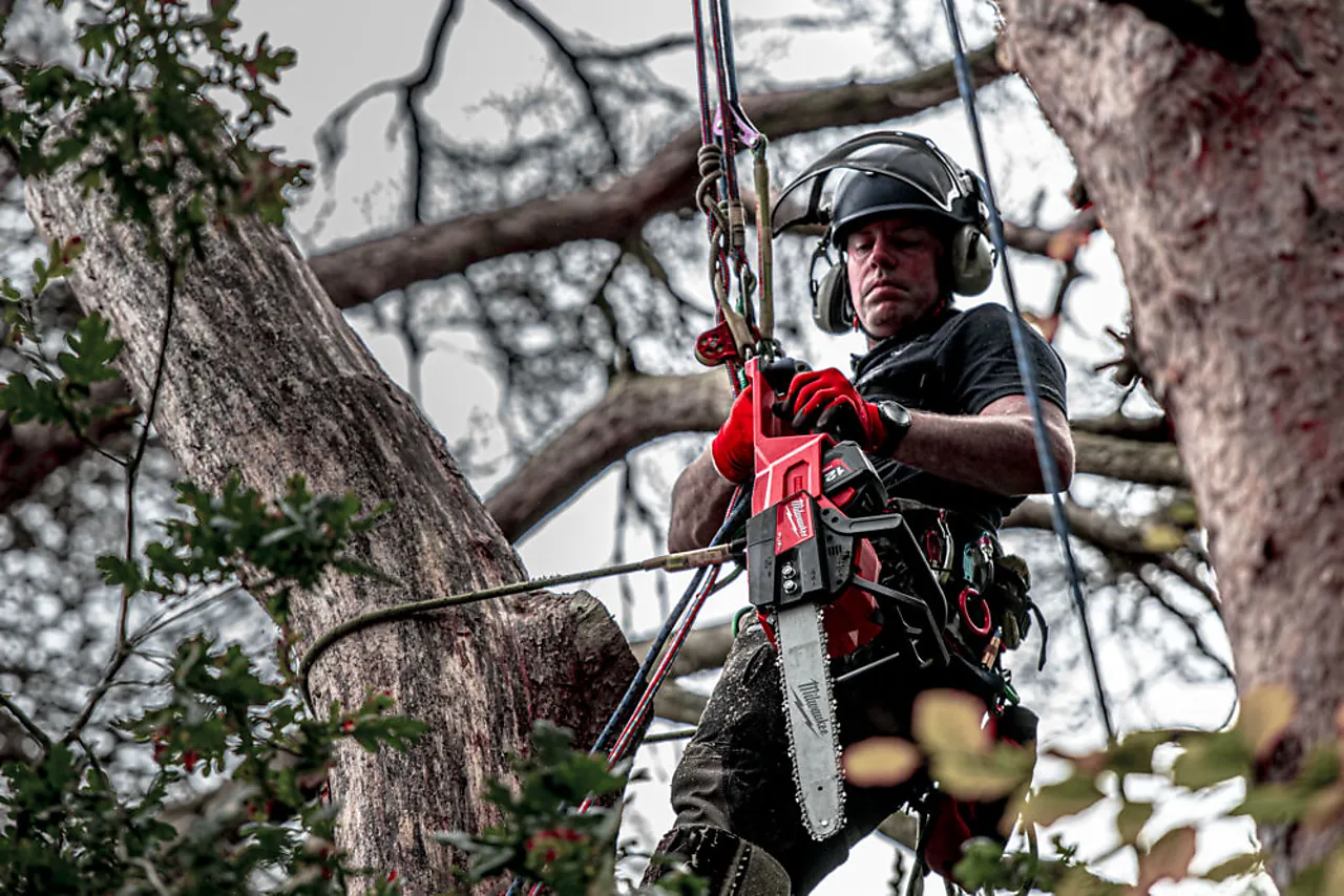 Kjedesag børsteløs motor 40cm sverd