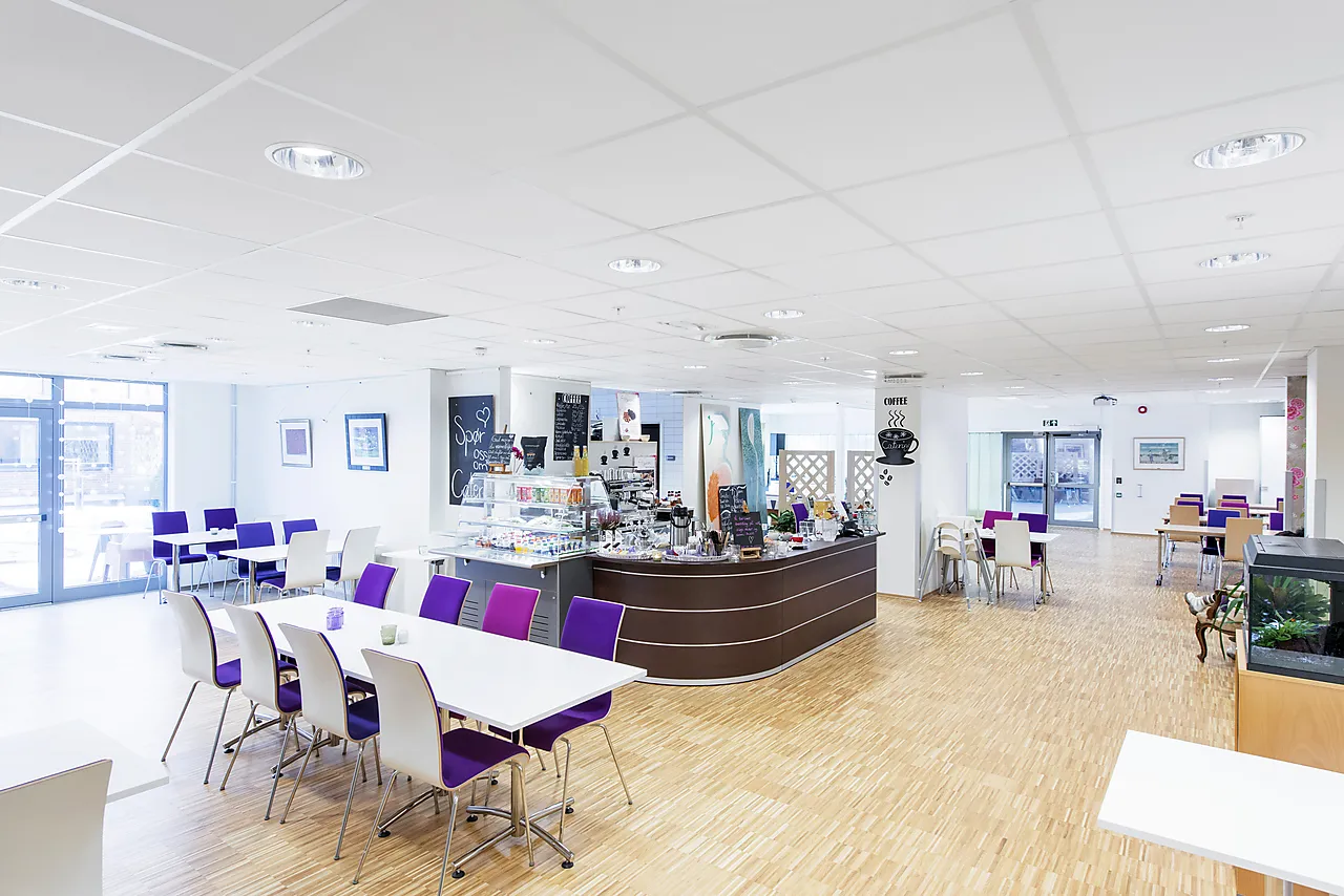 Rockfon tropic a24 600x600x40 null - null - 2 - Miniatyr