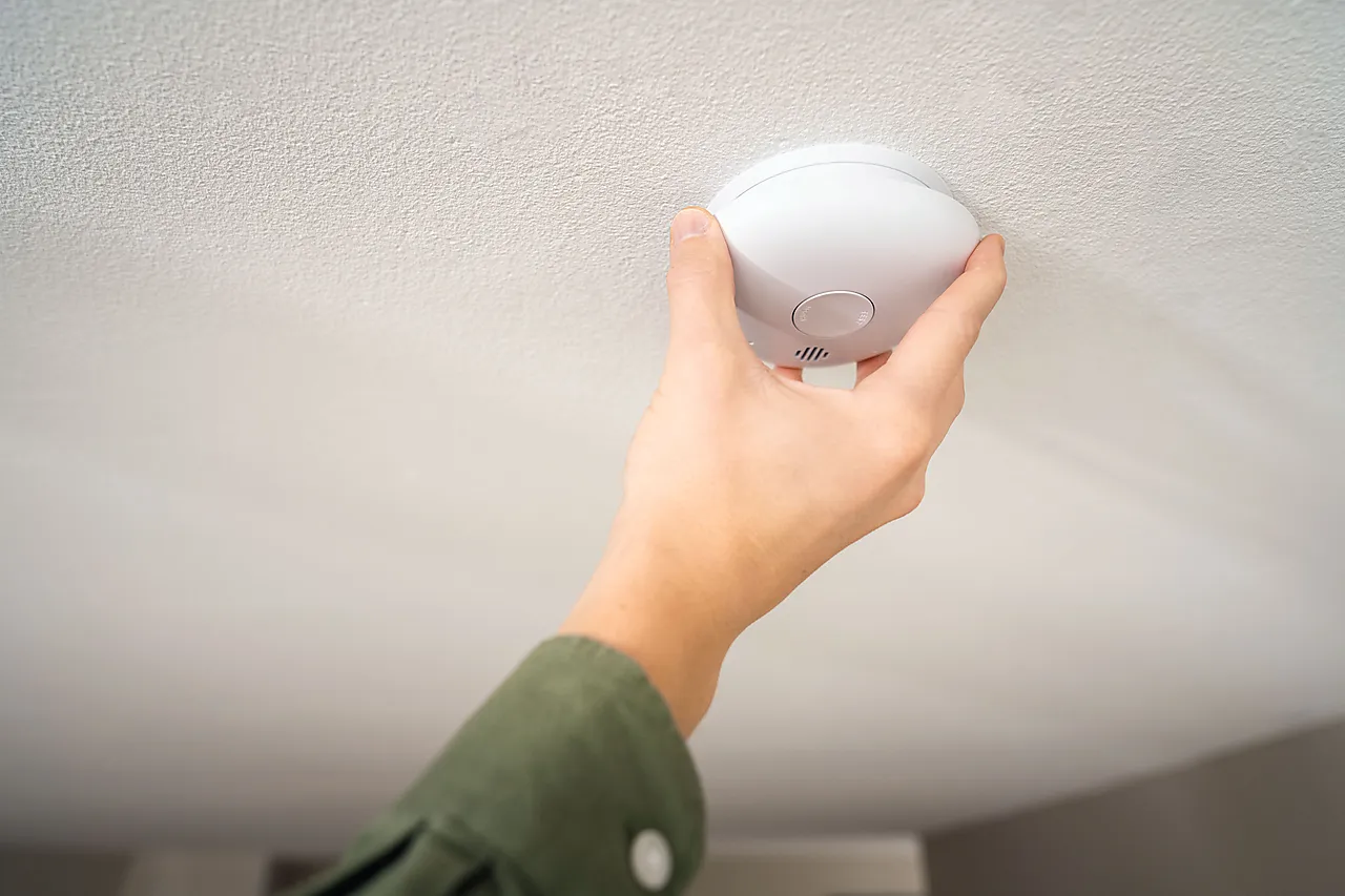 Røykvarsler Pebble 10Y SA701