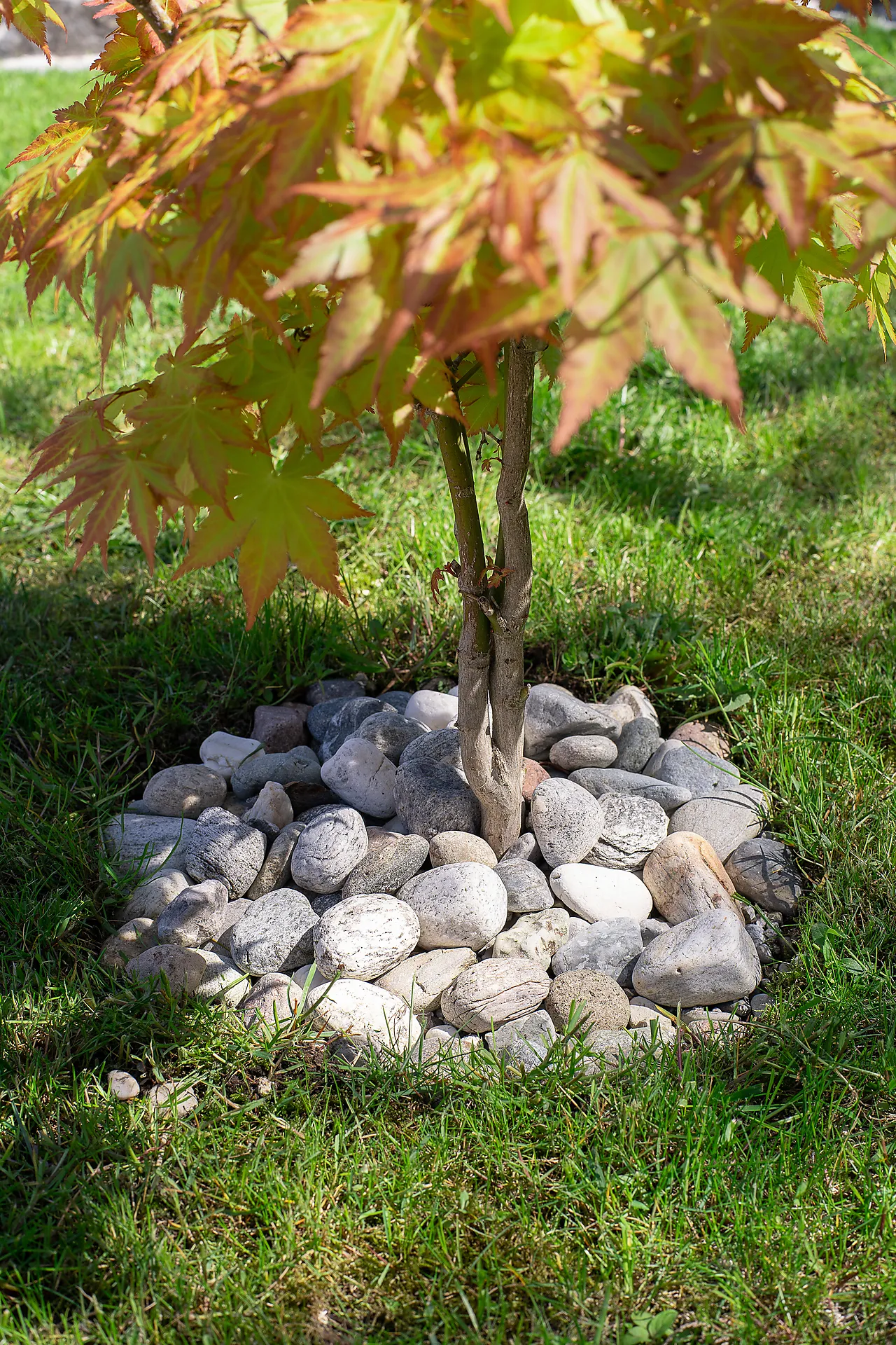 Dekorstein Arctic elvestein 40/60 20 kg null - null - 2 - Miniatyr