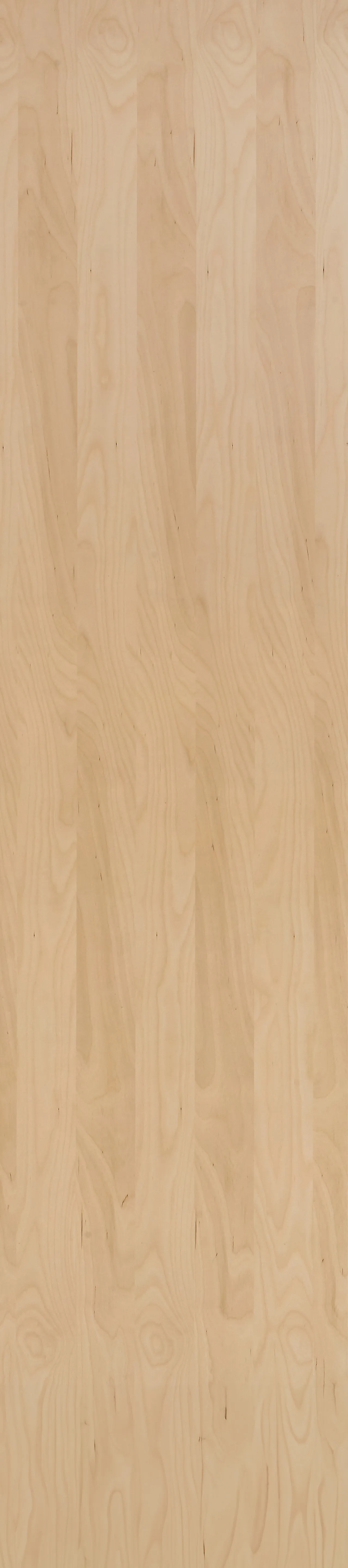 Fibo kryssfiner lakkert bjørk 2720 mm