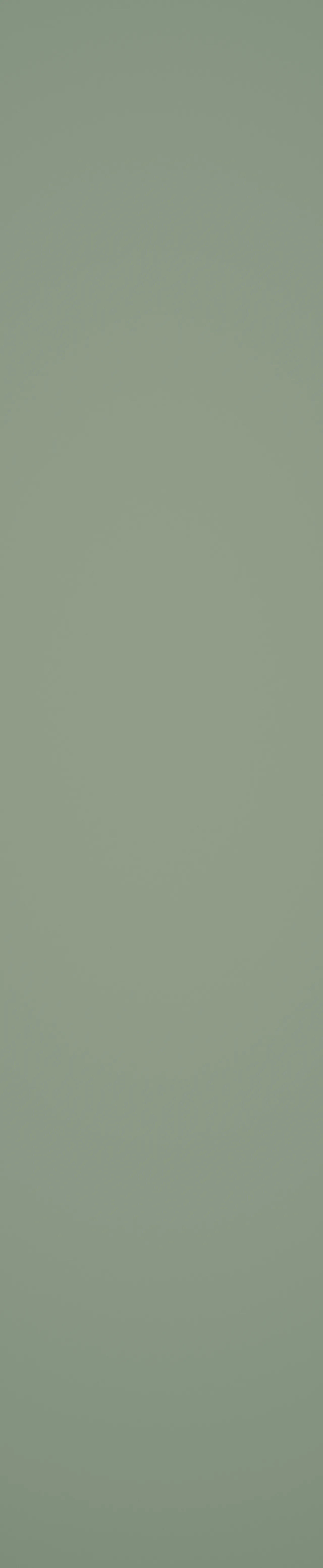 Fibo baderomsplate Olivegreen 10x620x3020mm null - null - 2 - Miniatyr