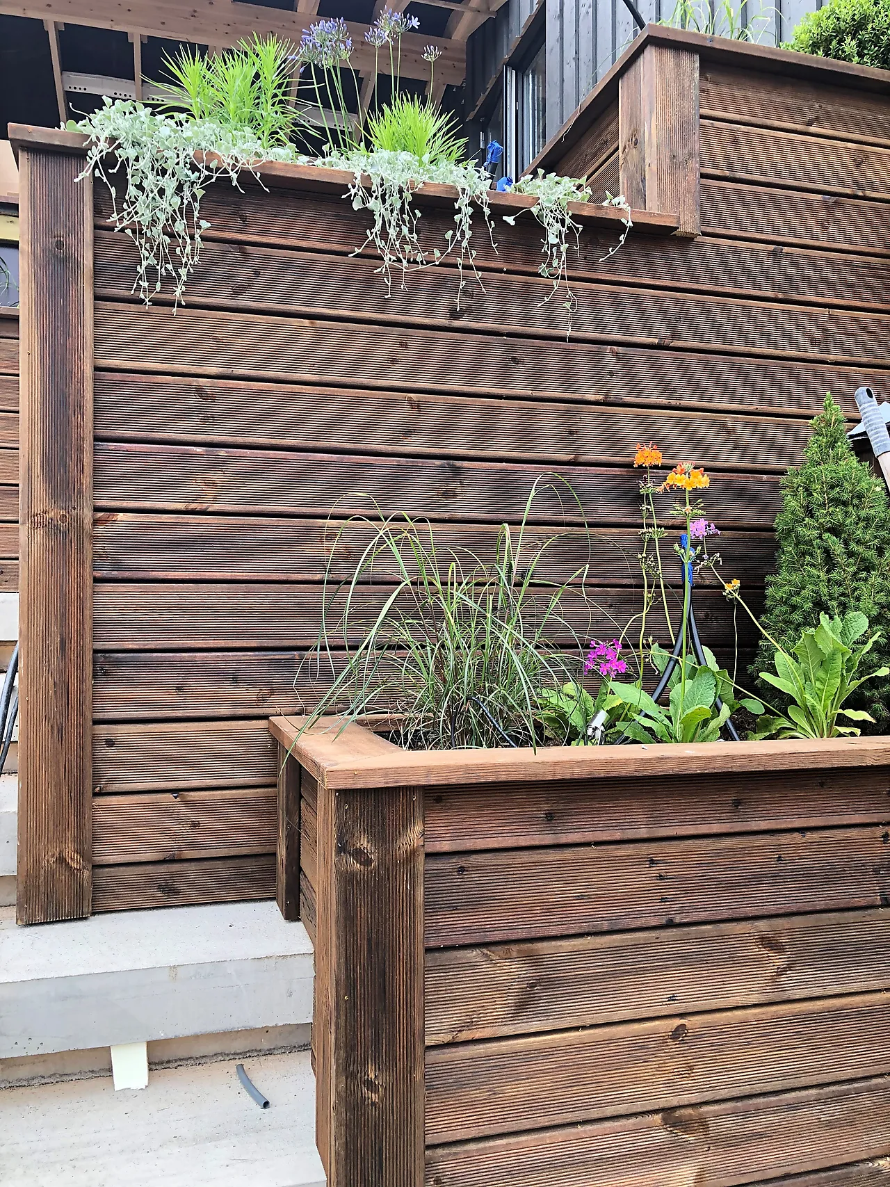 Marnar Bruk Royal furu 28x120 tjærebrun terrassebord Uno Marnar Bruk Royal furu 28x120 tjærebrun terrassebord Uno