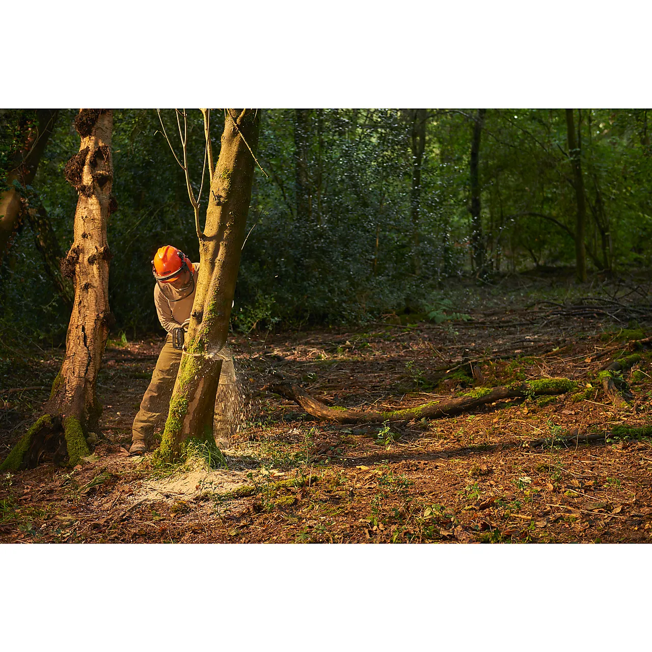 Gresstrimmer RLT5127 null - null - 2 - Miniatyr