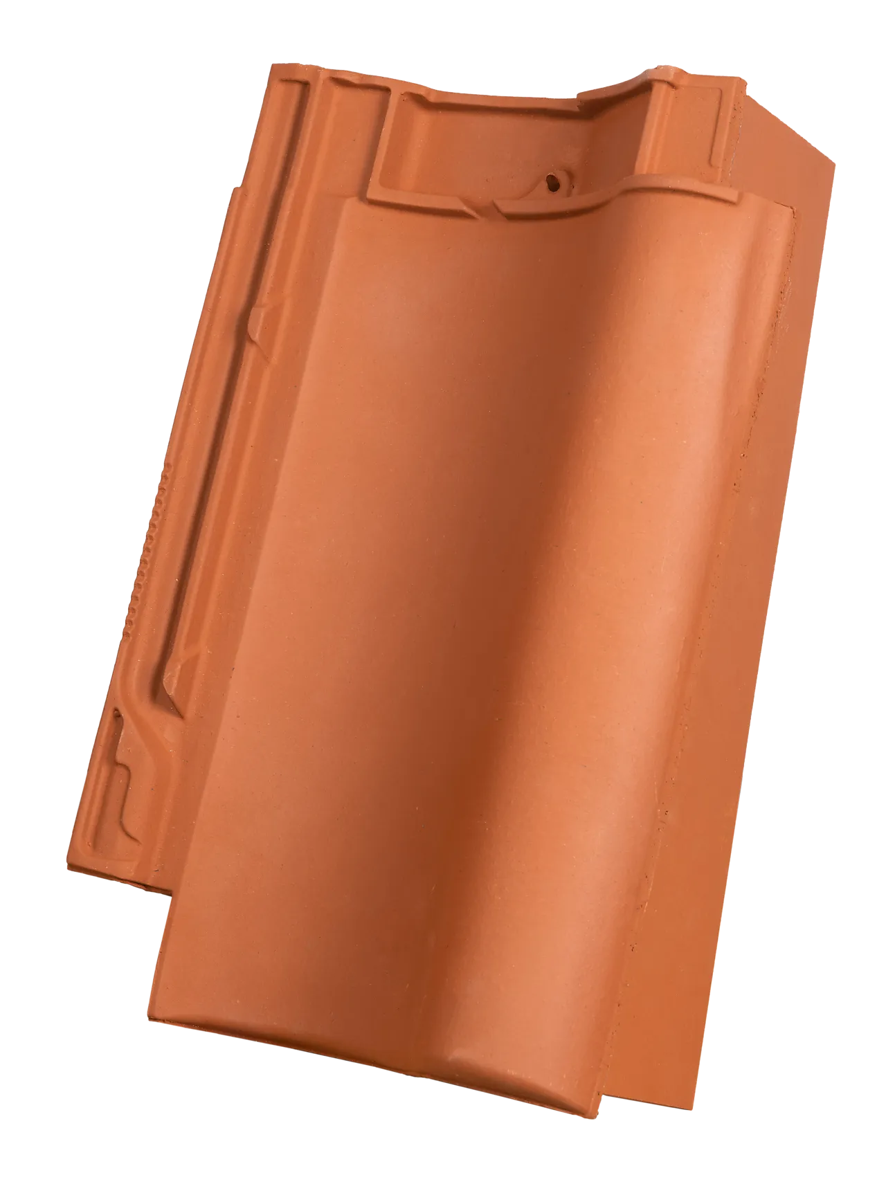 Gavlstein slut høyre rød rt823 højslev rød skandinavia