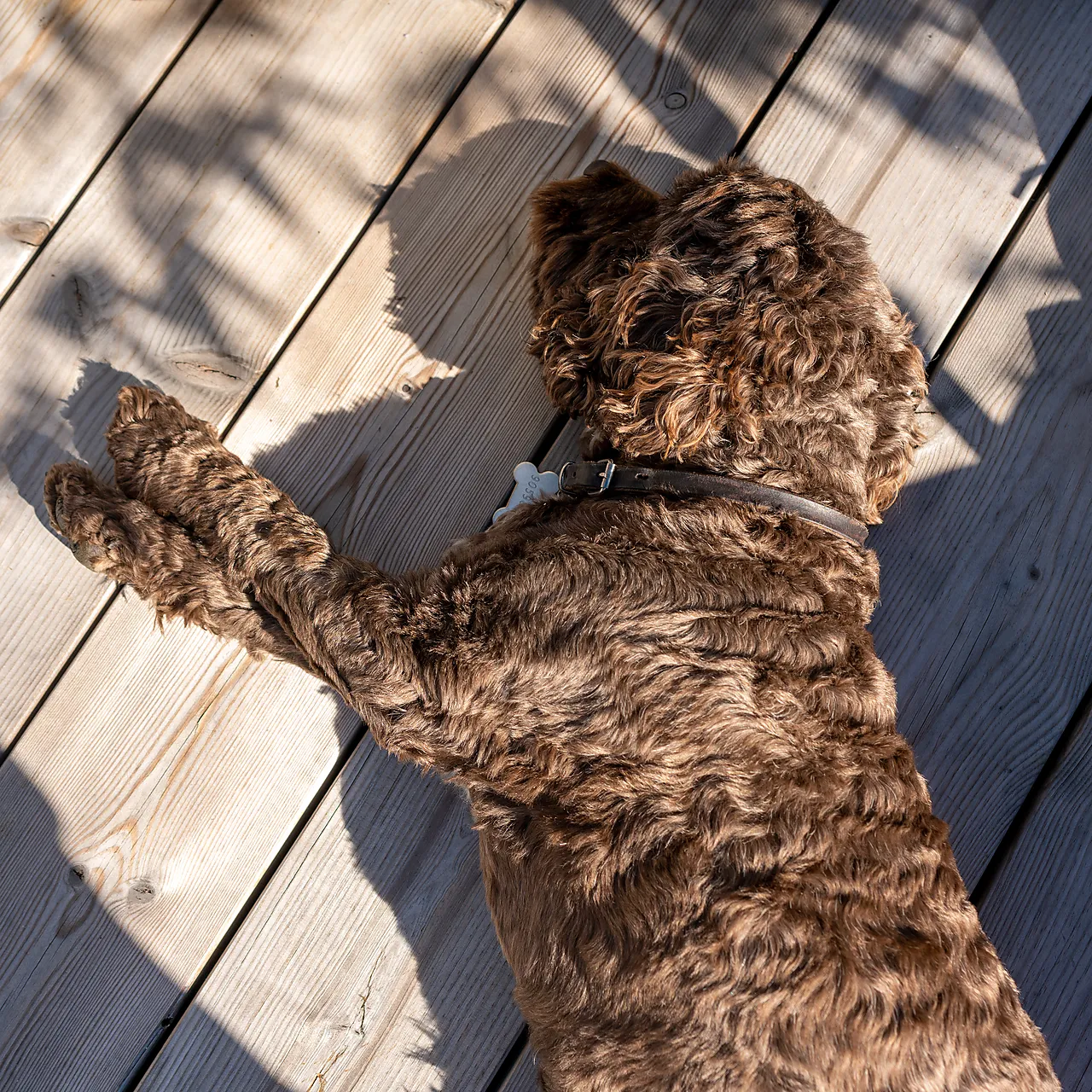 Terrassebord impregnert furu klasse 1 21x120 mm null - null - 3 - Miniatyr