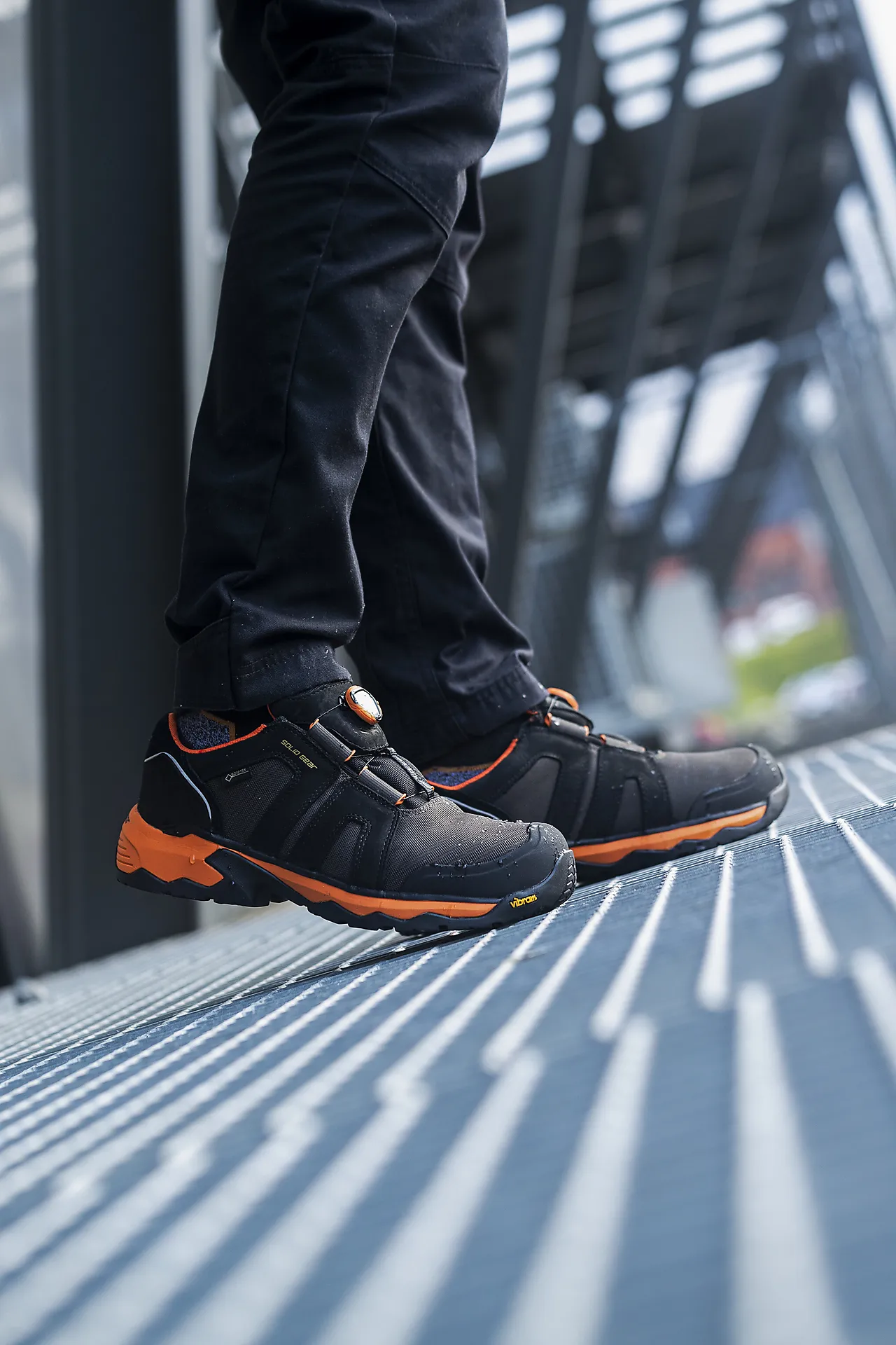 Vernesko Tigris lav SG81003 str 44 null - 38 - 3 - Miniatyr