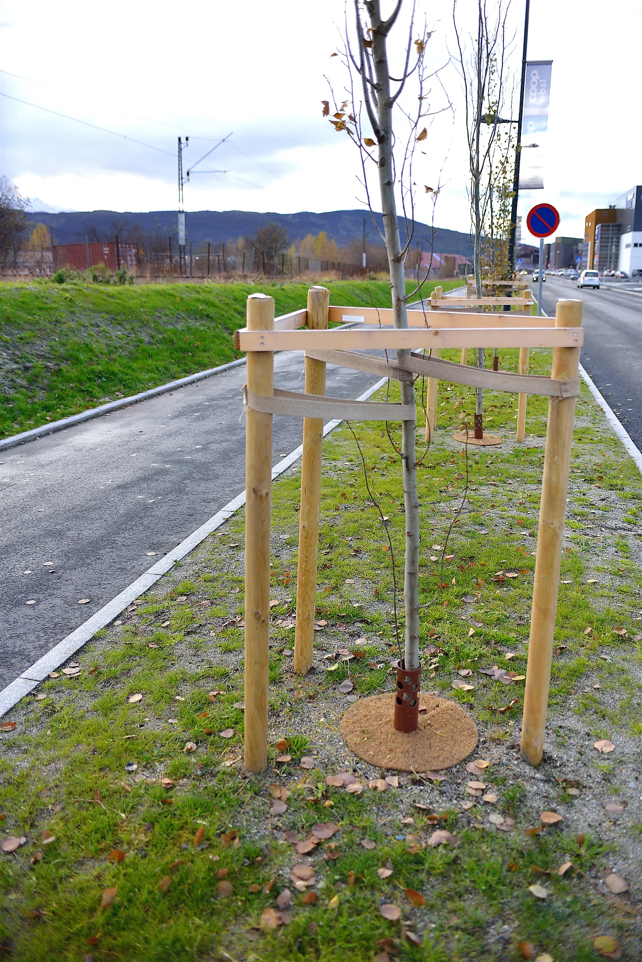 Staur ø 7x 175 cm trykkimpr null - null - 2 - Miniatyr