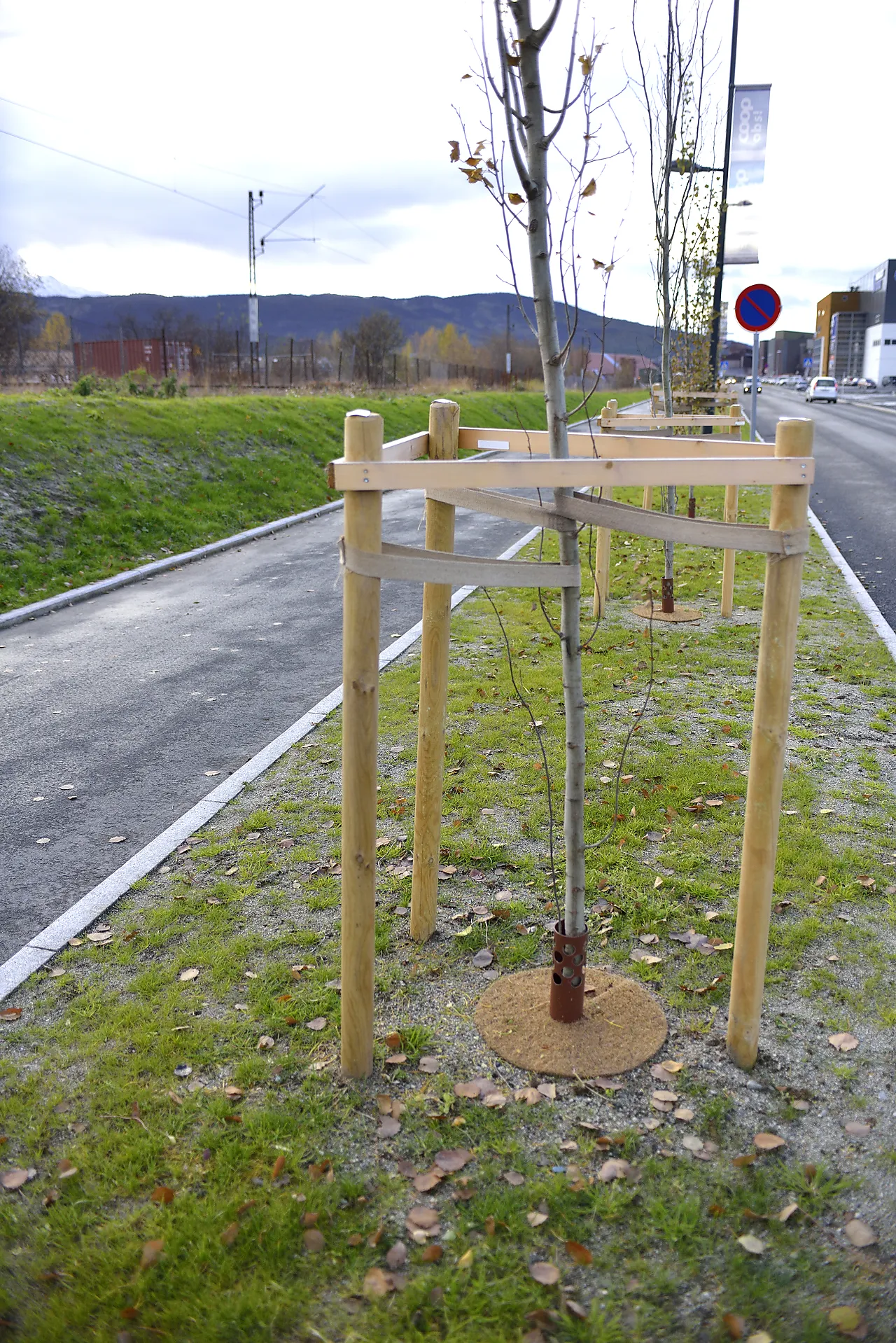 Staur ø 7x 175 cm trykkimpr null - null - 2 - Miniatyr