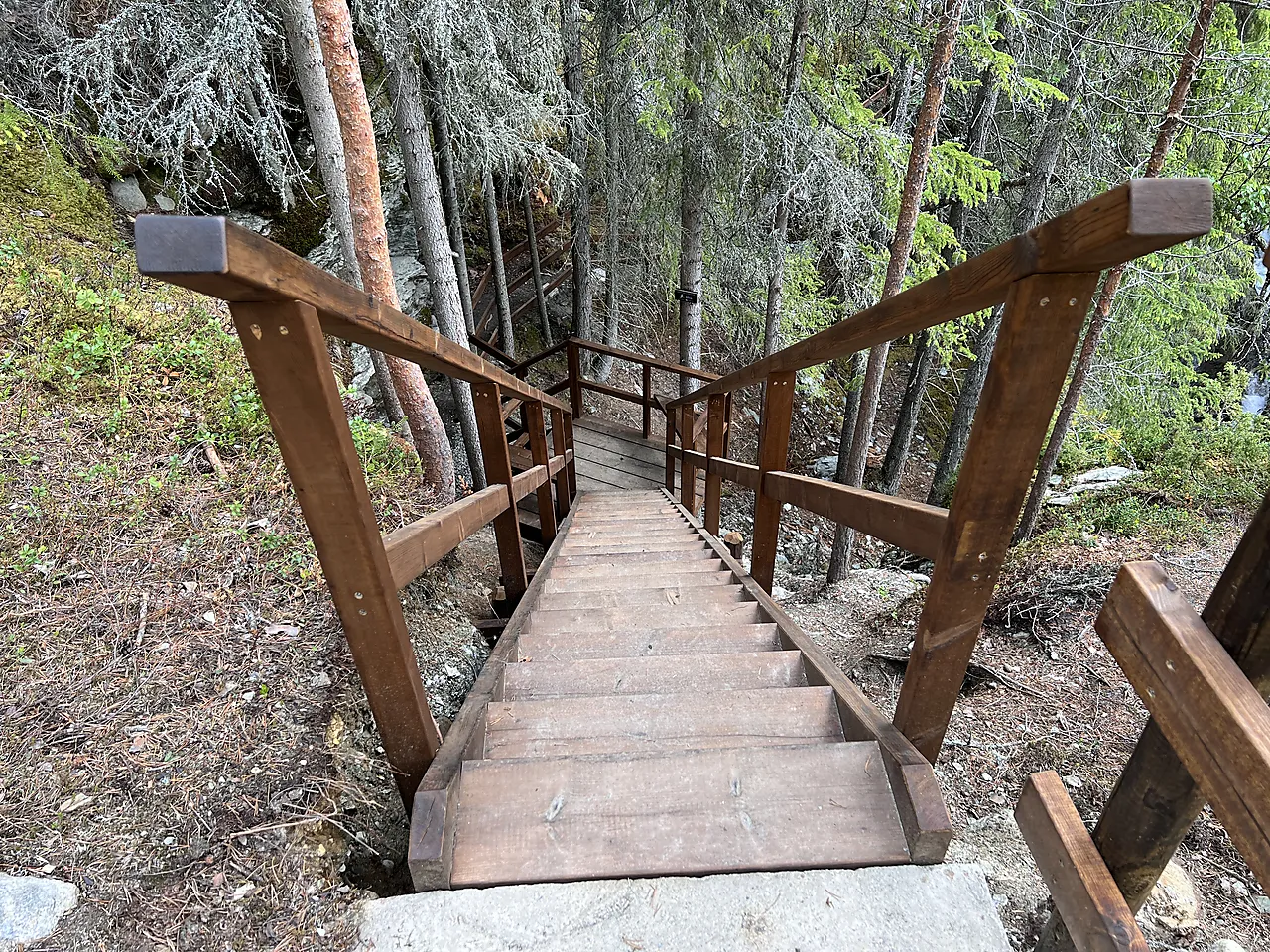 Furu 48x198 k-virke c-24 royal brun arb k-v 48x198 null - null - 3 - Miniatyr