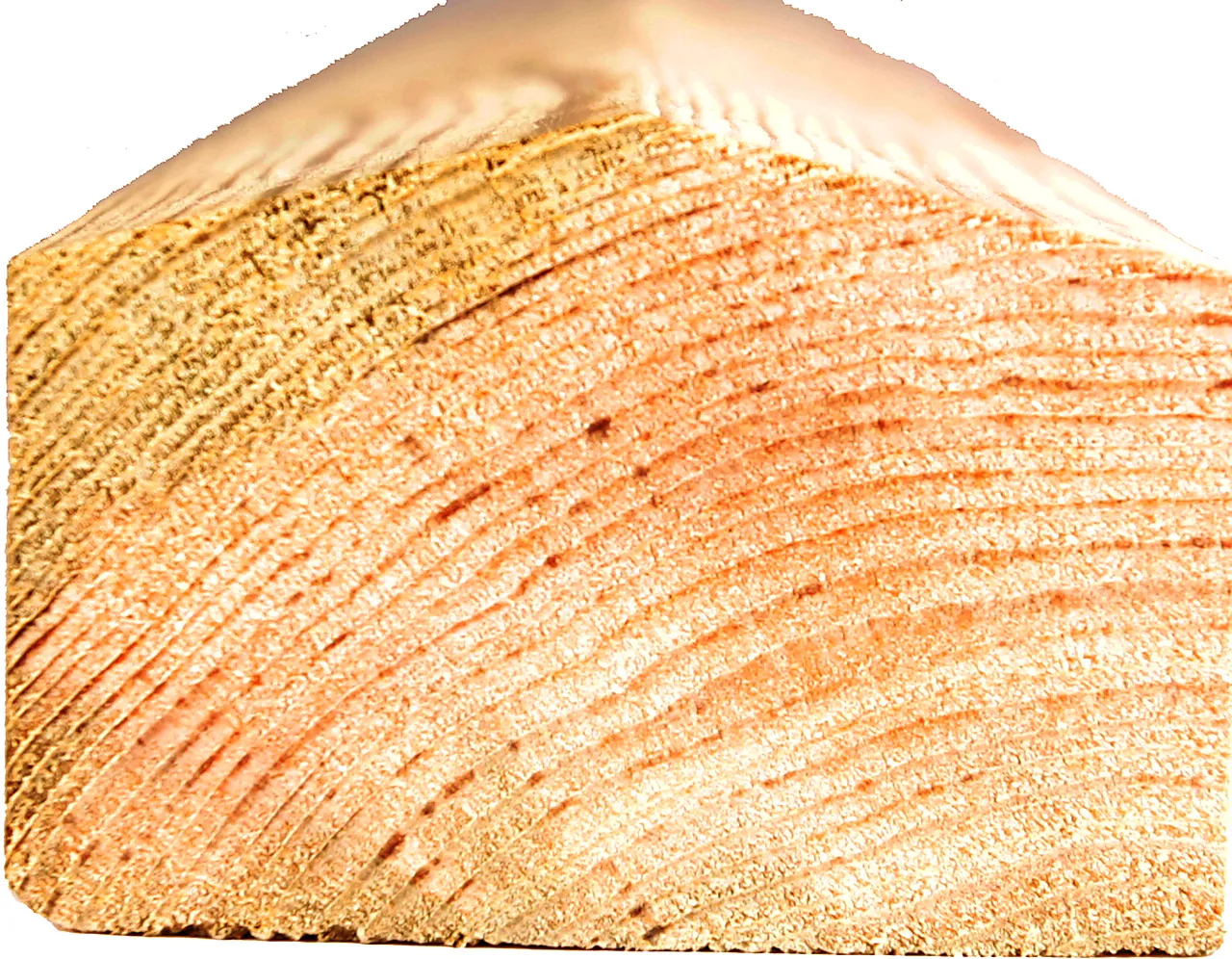 Bunnlist 36x73mm 050600thf sps Bunnlist 36x73mm 050600thf sps