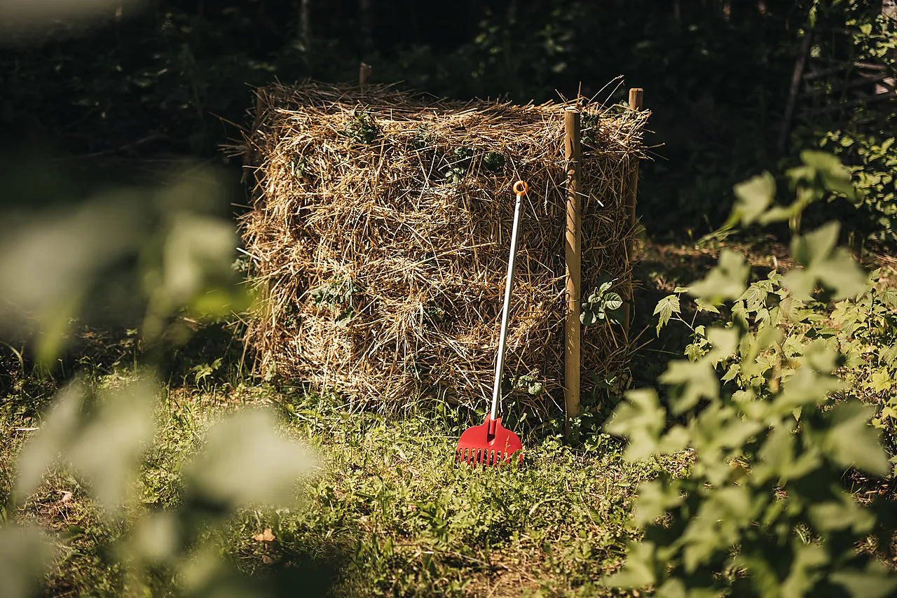 Myfirstrive null - null - 2 - Miniatyr