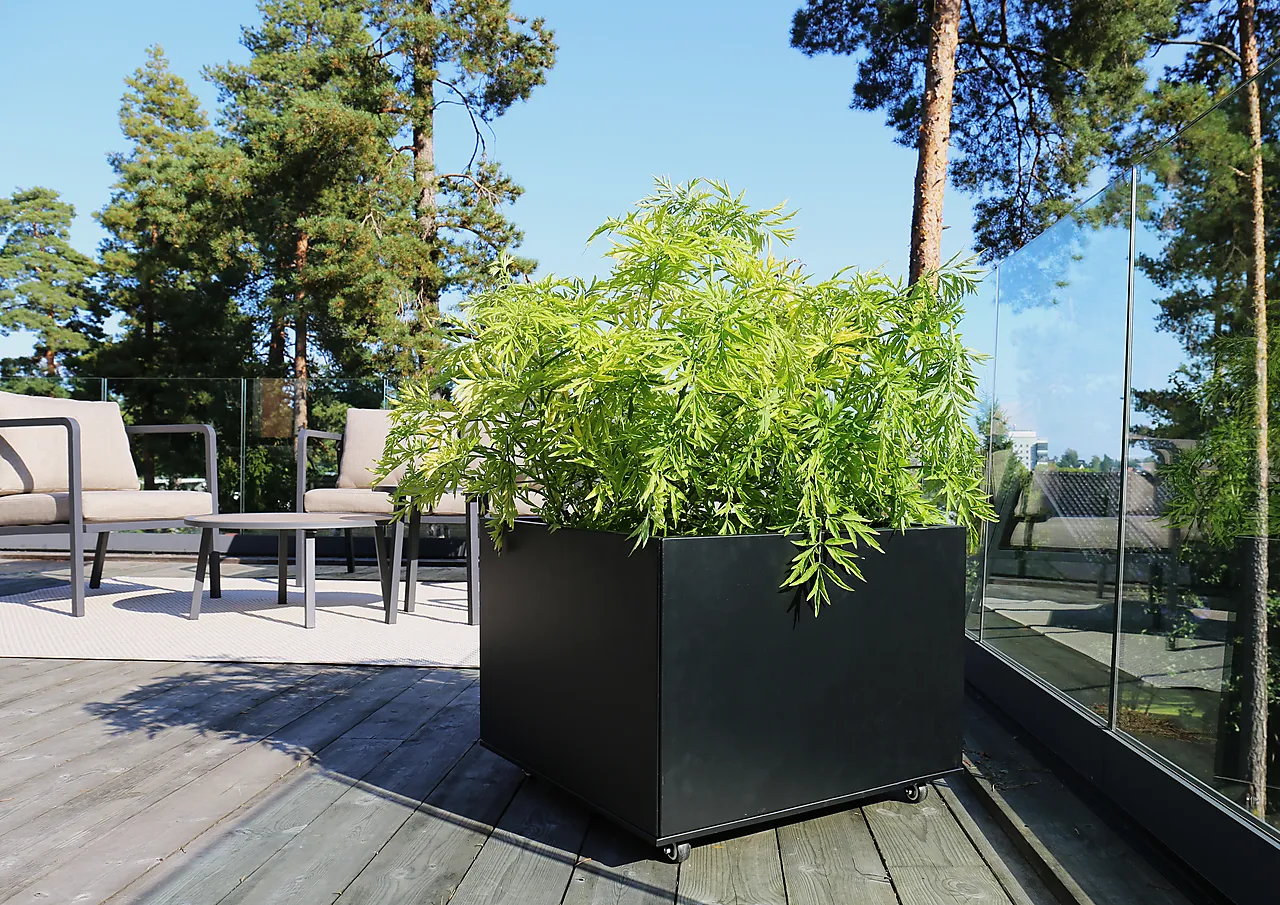 Plantekasse sort med hjul 60x60x41 cm null - 60x60 - 3 - Miniatyr